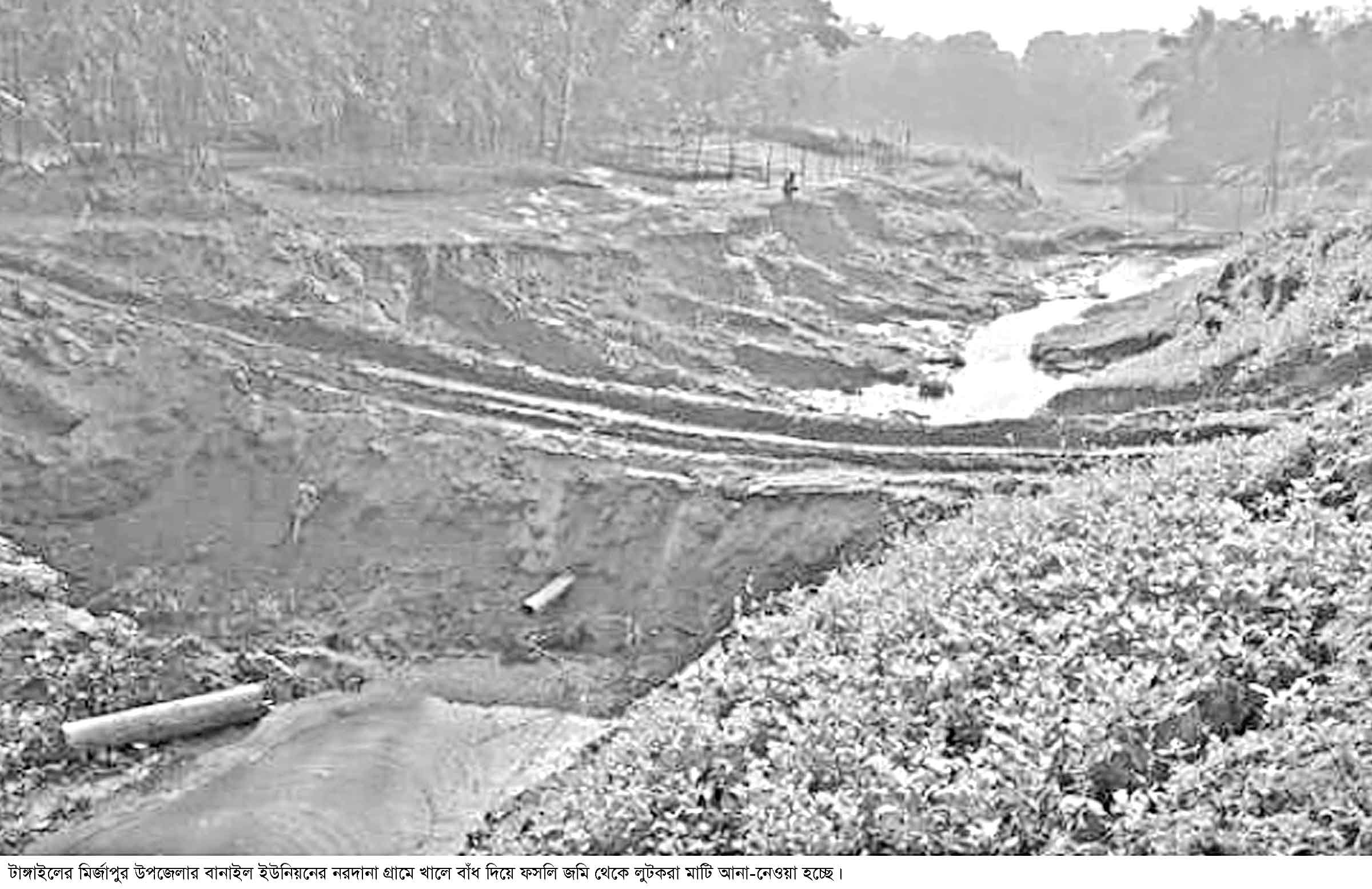 টাঙ্গাইলে লুট হচ্ছে ফসলি জমির টপসয়েল