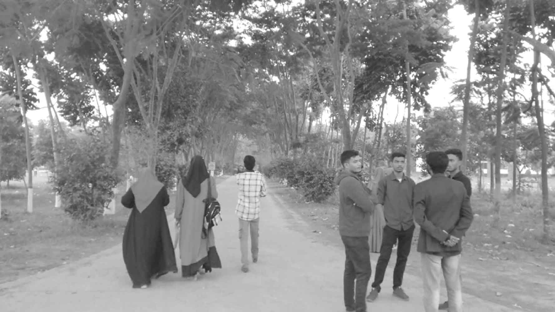 আলো-ছায়ার খেলায় সৌন্দর্যের উপমা 'বিজয় সড়ক'