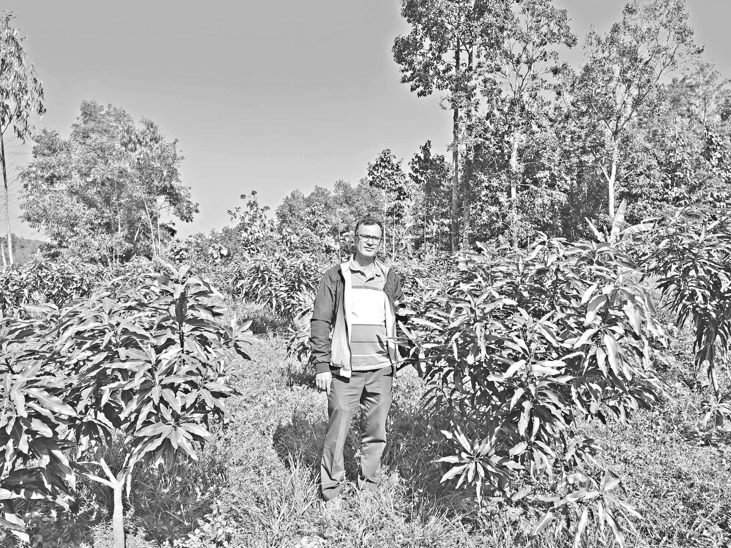 মিশ্র ফলের বাগানে সফলতার স্বপ্ন আইনজীবীর