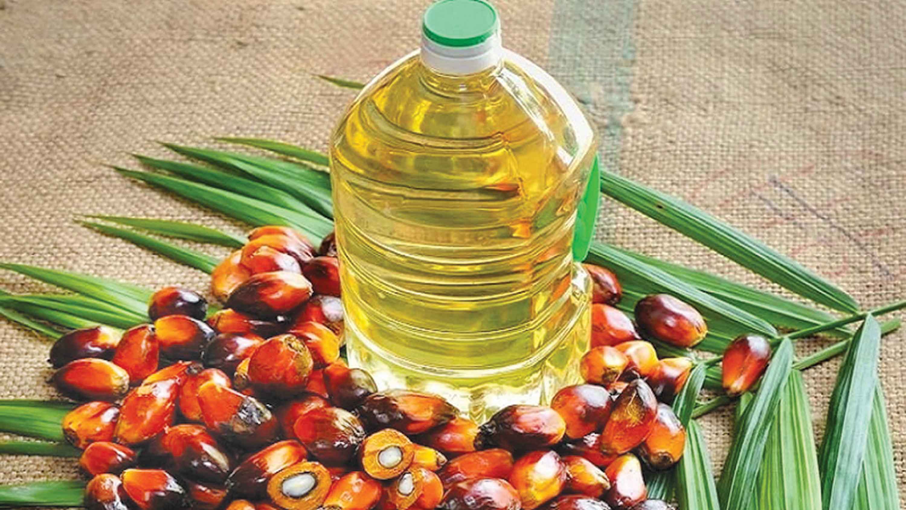 পাম অয়েলের সাপ্তাহিক দাম বেড়েছে ৪.৭ শতাংশ