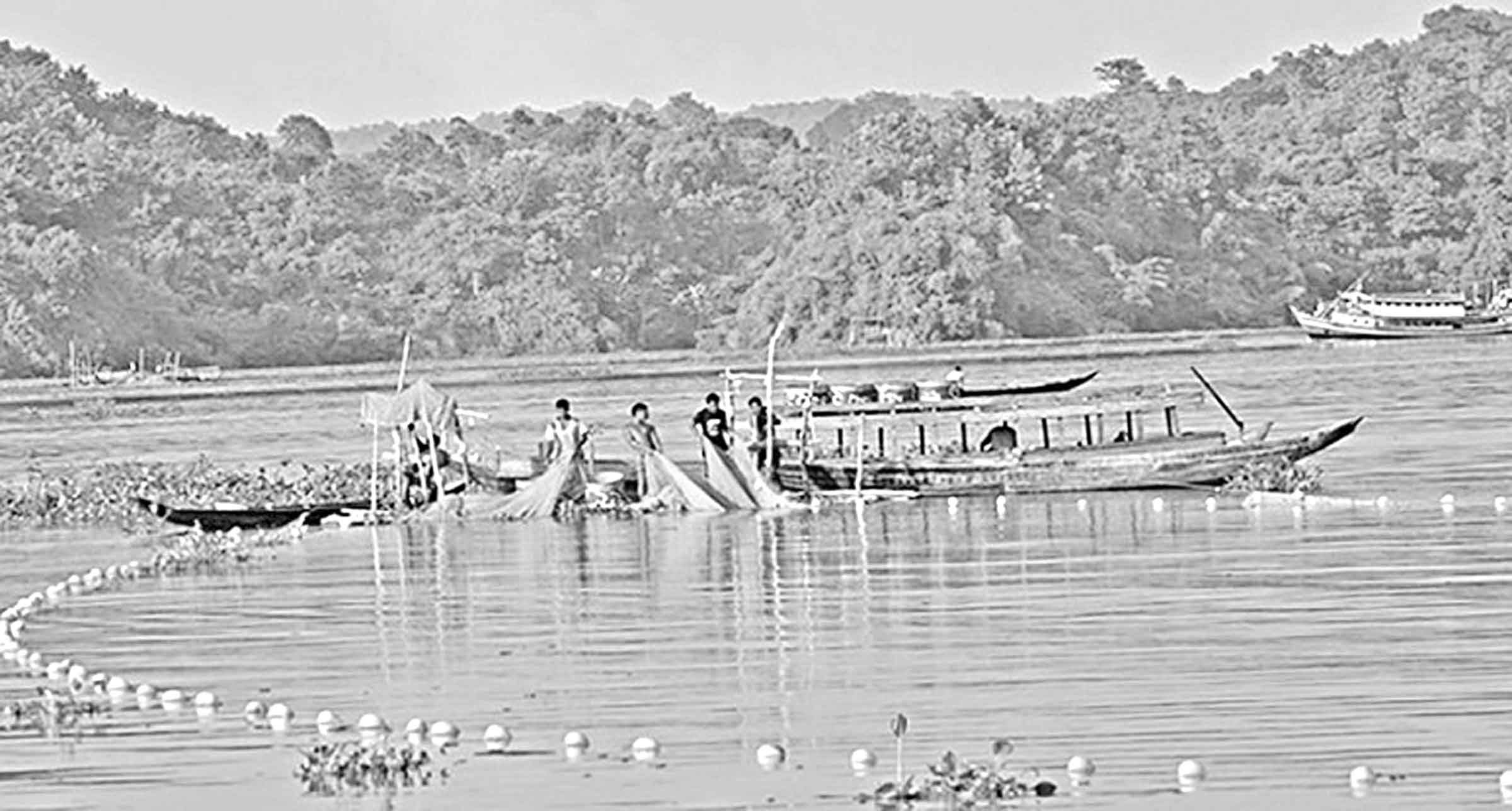কমছে কাপ্তাই হ্রদের মাছ হতাশায় জেলে-ব্যবসায়ী!