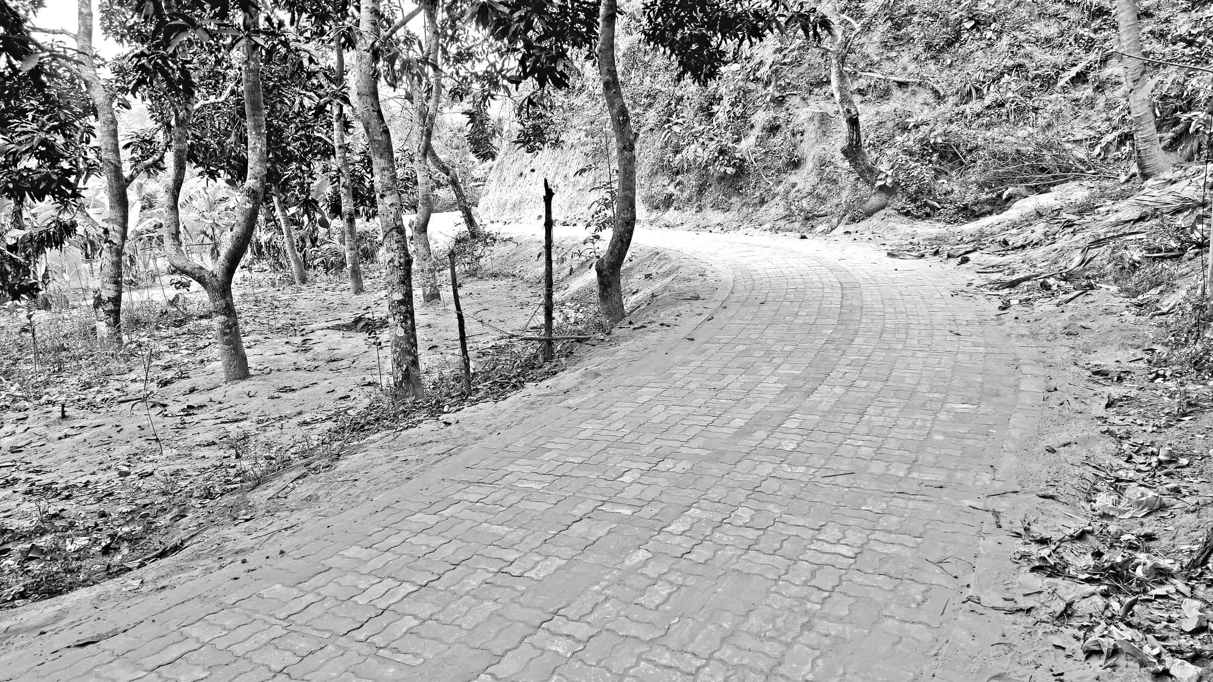 বান্দরবানে নজর কাড়ছে ইউনিবস্নকের দৃষ্টিনন্দন সড়ক