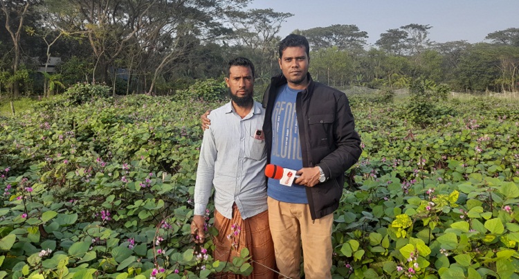 মিশ্র বাগান করে চমক হাতিয়ার কৃষক খানসাবের