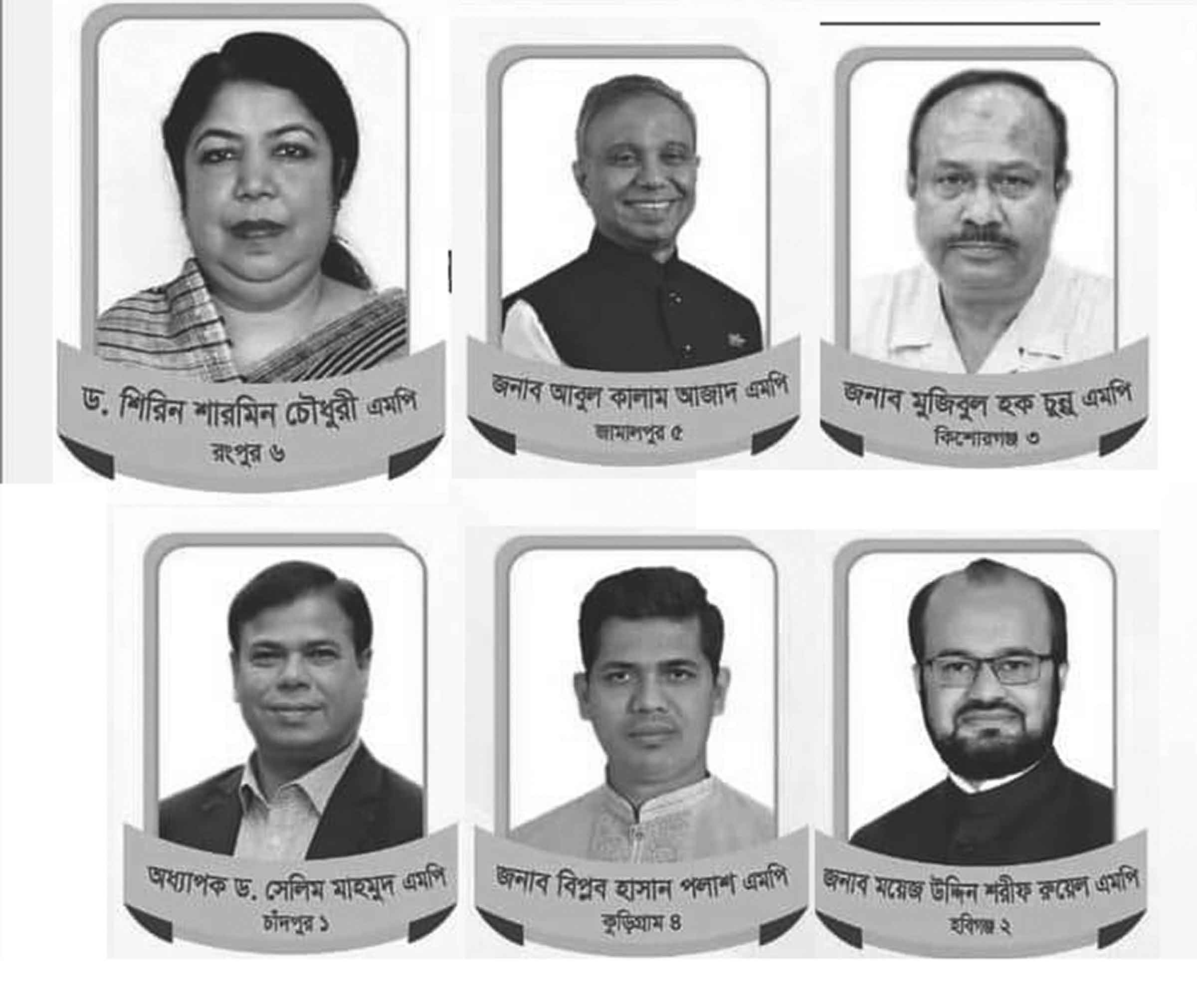দ্বাদশ জাতীয় সংসদে ঢাকা বিশ্ববিদ্যালয়ের আইন বিভাগের সাবেক ছয় শিক্ষার্থী