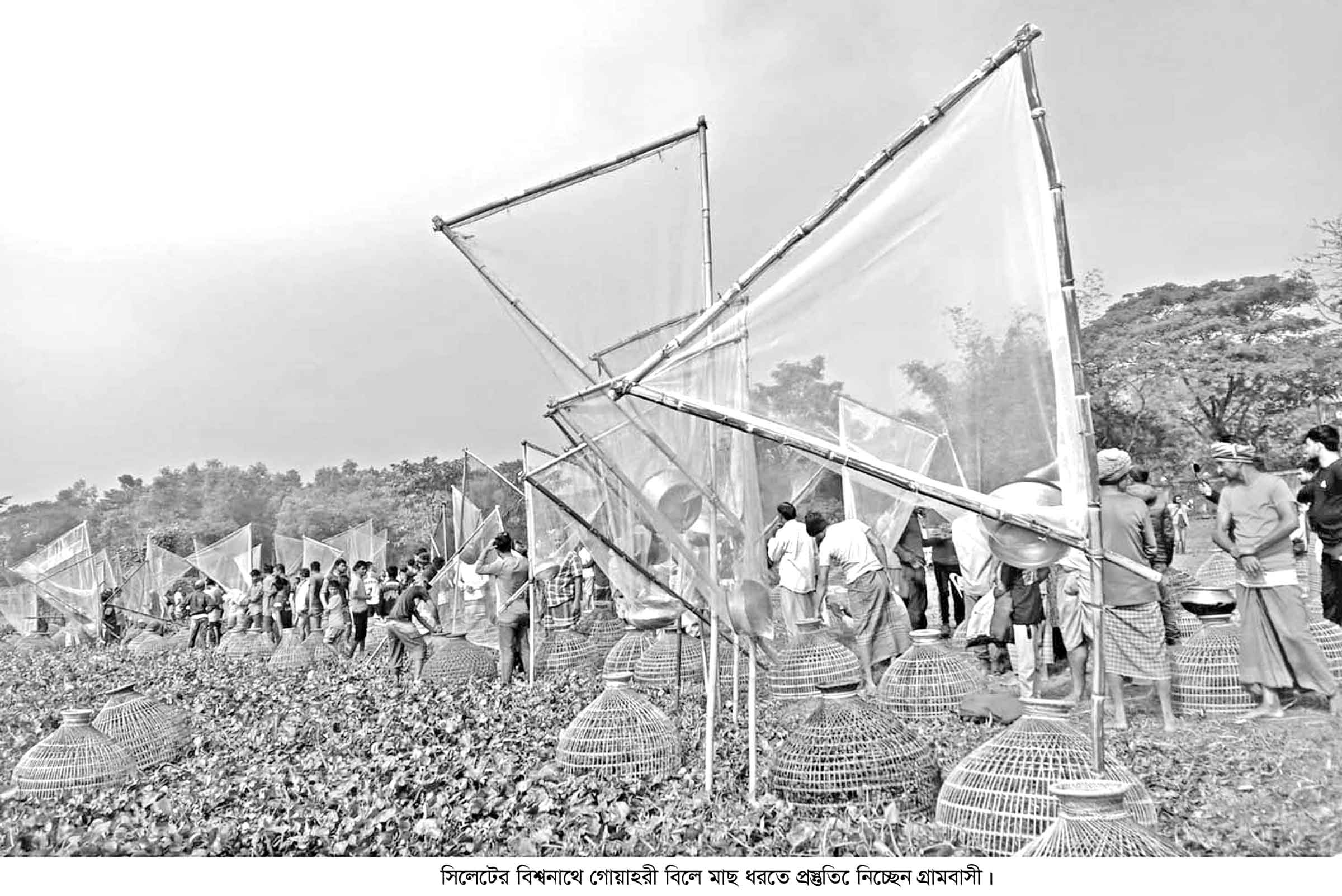 বিশ্বনাথে ২০০ বছরের ঐতিহ্য 'পলো বাওয়া' উৎসব উদযাপন