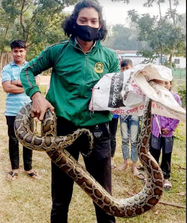 রাউজানে ধরা পড়েছে ১৫ ফুট লম্বা অজগর 