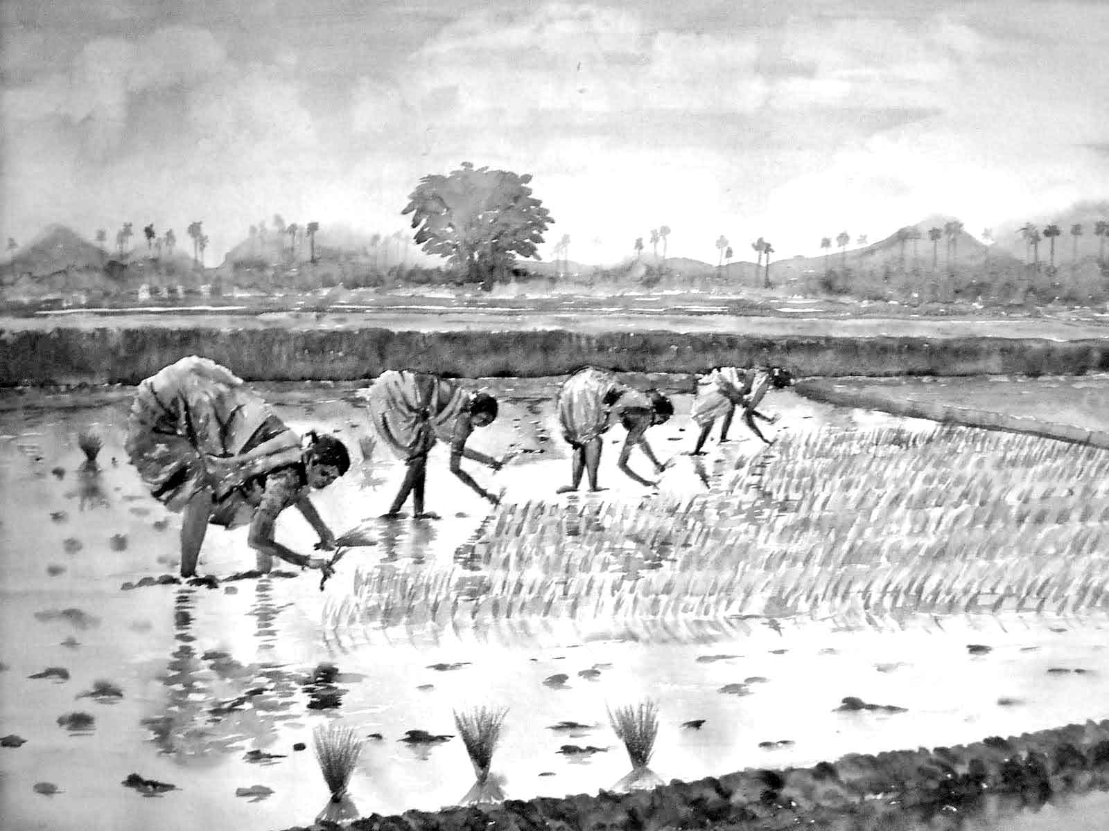 পঞ্চম শ্রেণির পড়াশোনা