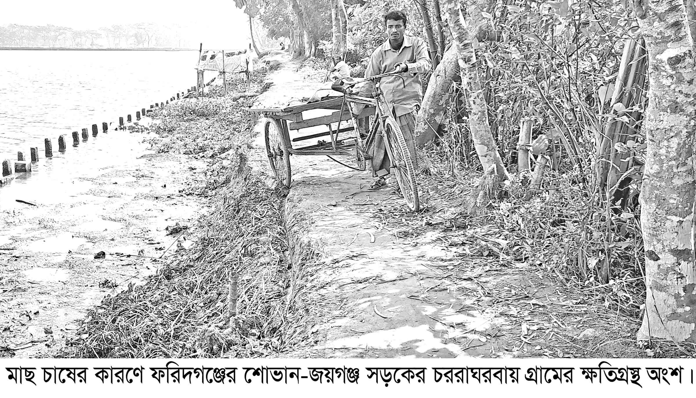 ফরিদগঞ্জে মাছের ঘের খেয়ে ফেলছে সড়ক