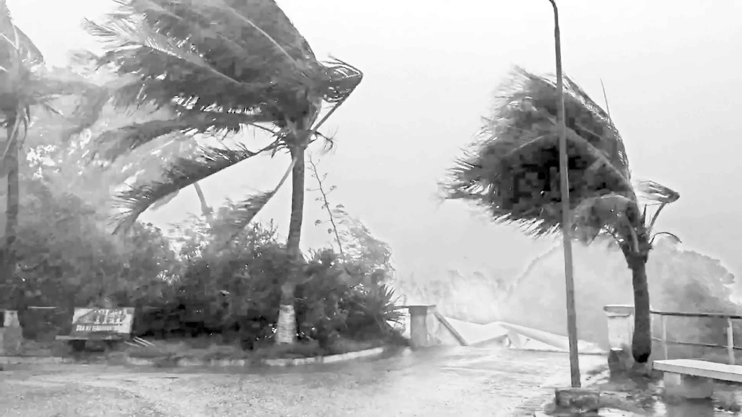 পঞ্চম শ্রেণির পড়াশোনা
