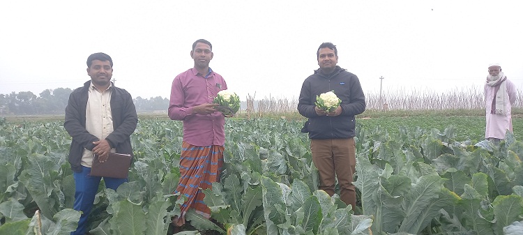 আজমিরীগঞ্জে বিষমুক্ত সব্জি চাষে তোফাজ্জল হোসেনের বিপ্লব