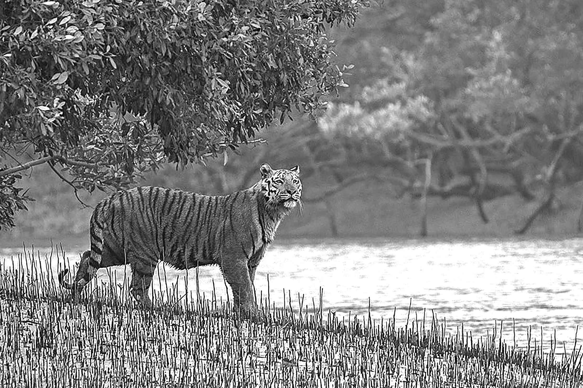 একাদশ শ্রেণির ইংরেজি প্রথম পত্র