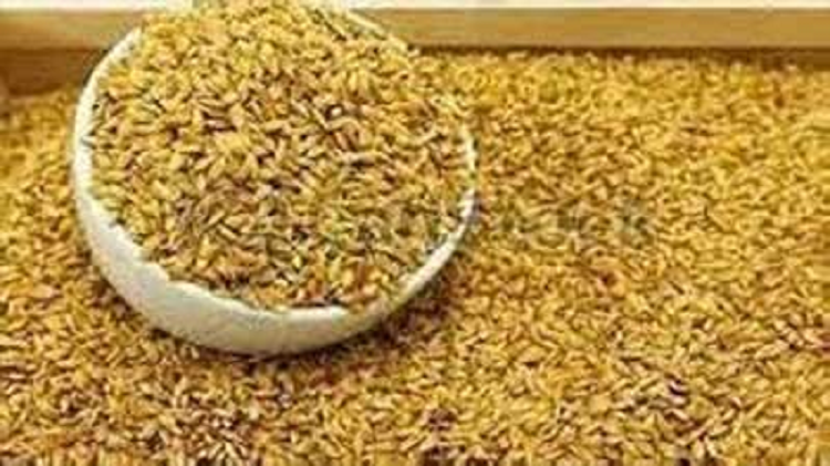 বিএডিসির বীজ অবিক্রীত ক্ষতি হাজার কোটি টাকা