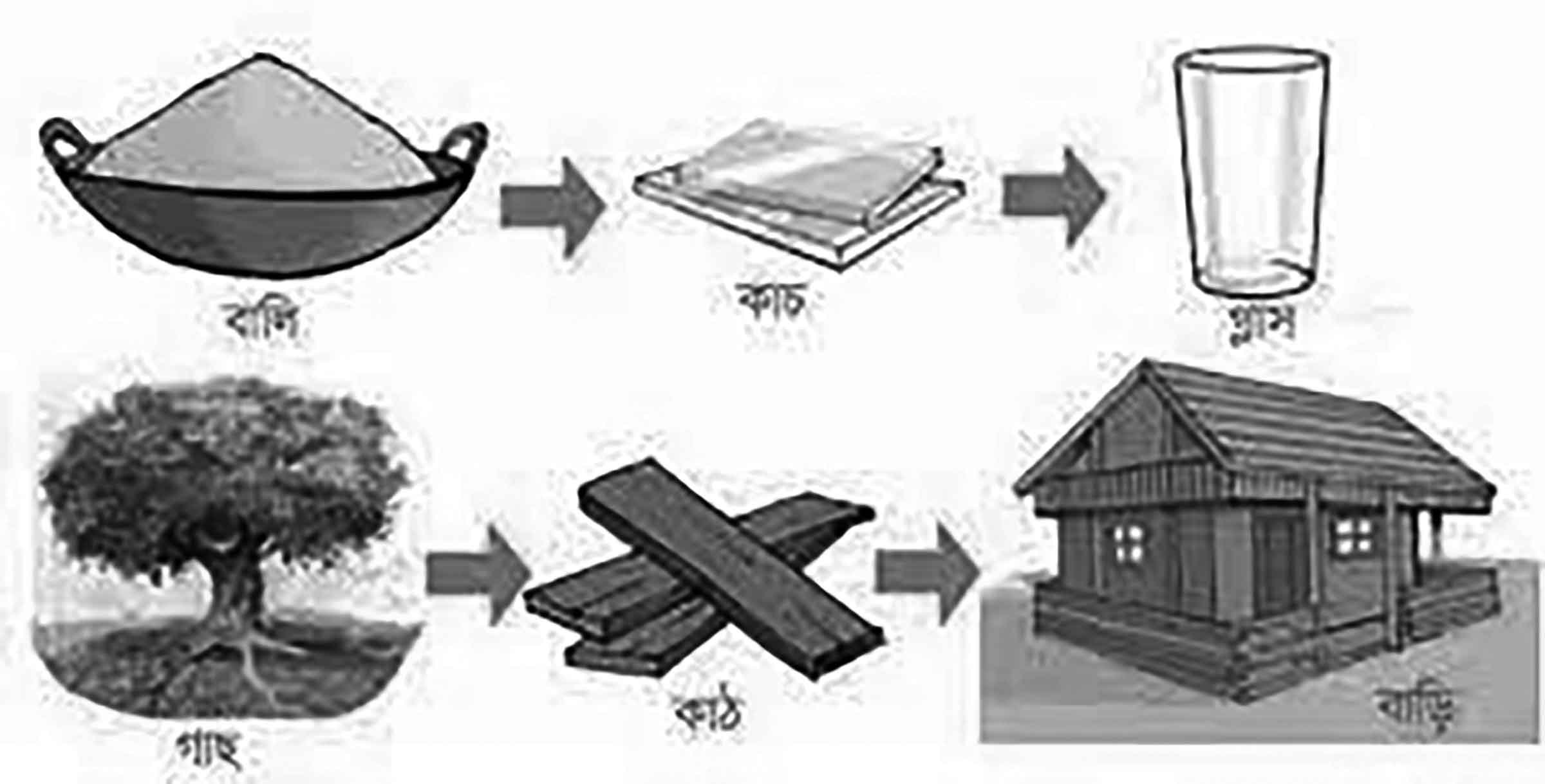 পঞ্চম শ্রেণির পড়াশোনা