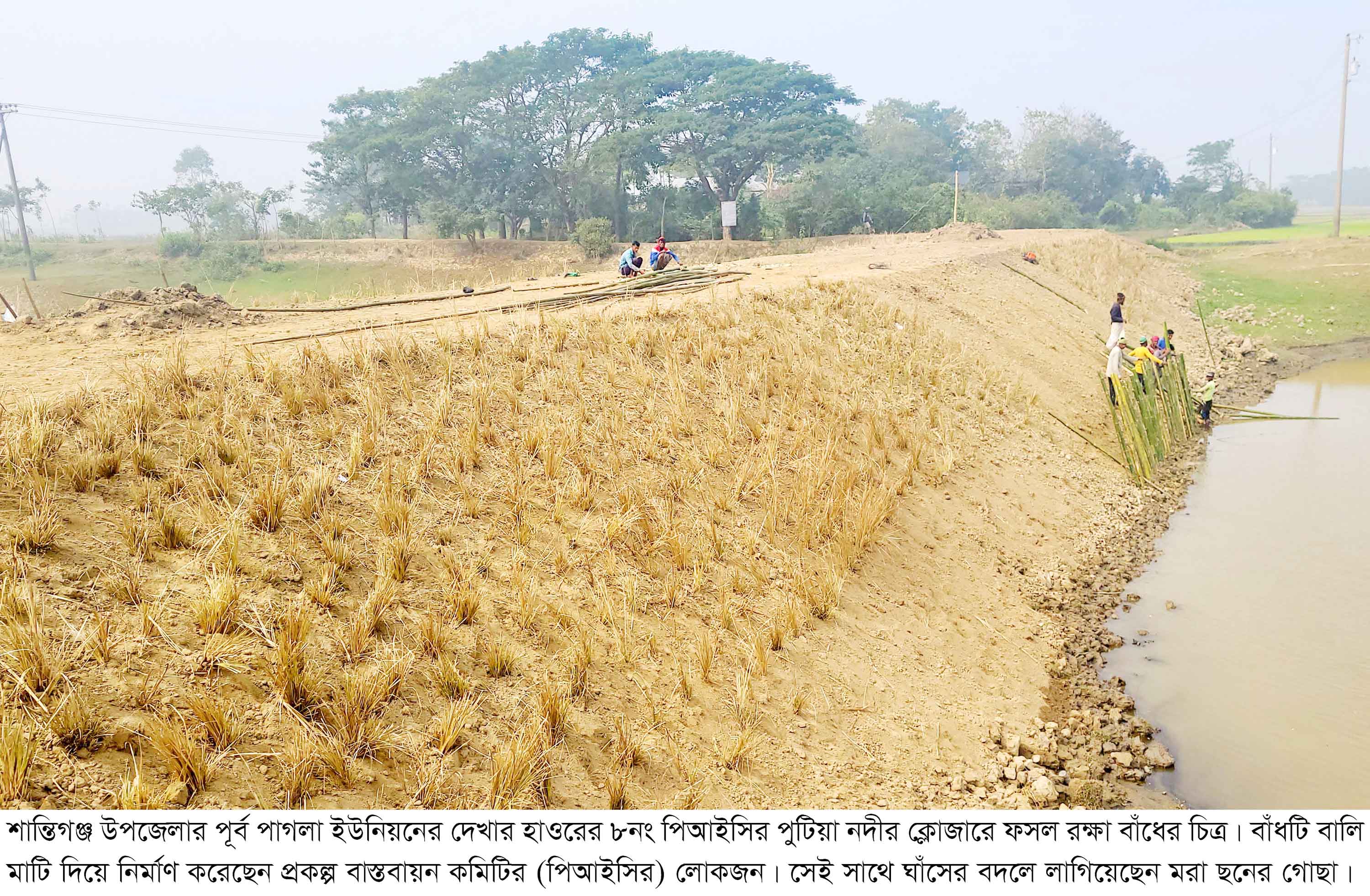 শান্তিগঞ্জে ডেঞ্জার ক্লোজারে বালি মাটি, শঙ্কায় হাজারো কৃষক