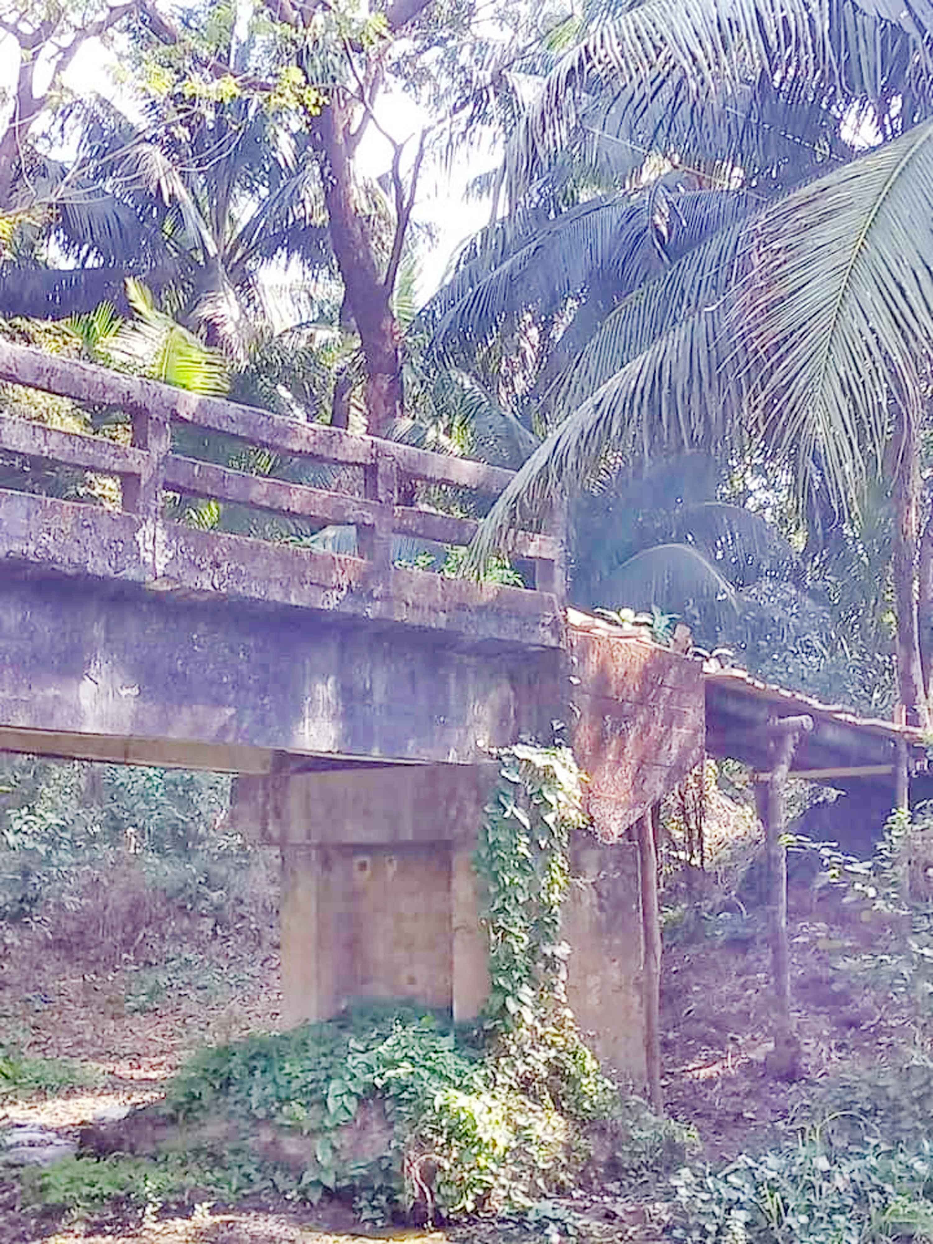 সোনাগাজীতে সাঁকো দিয়ে উঠতে হয় ব্রিজে