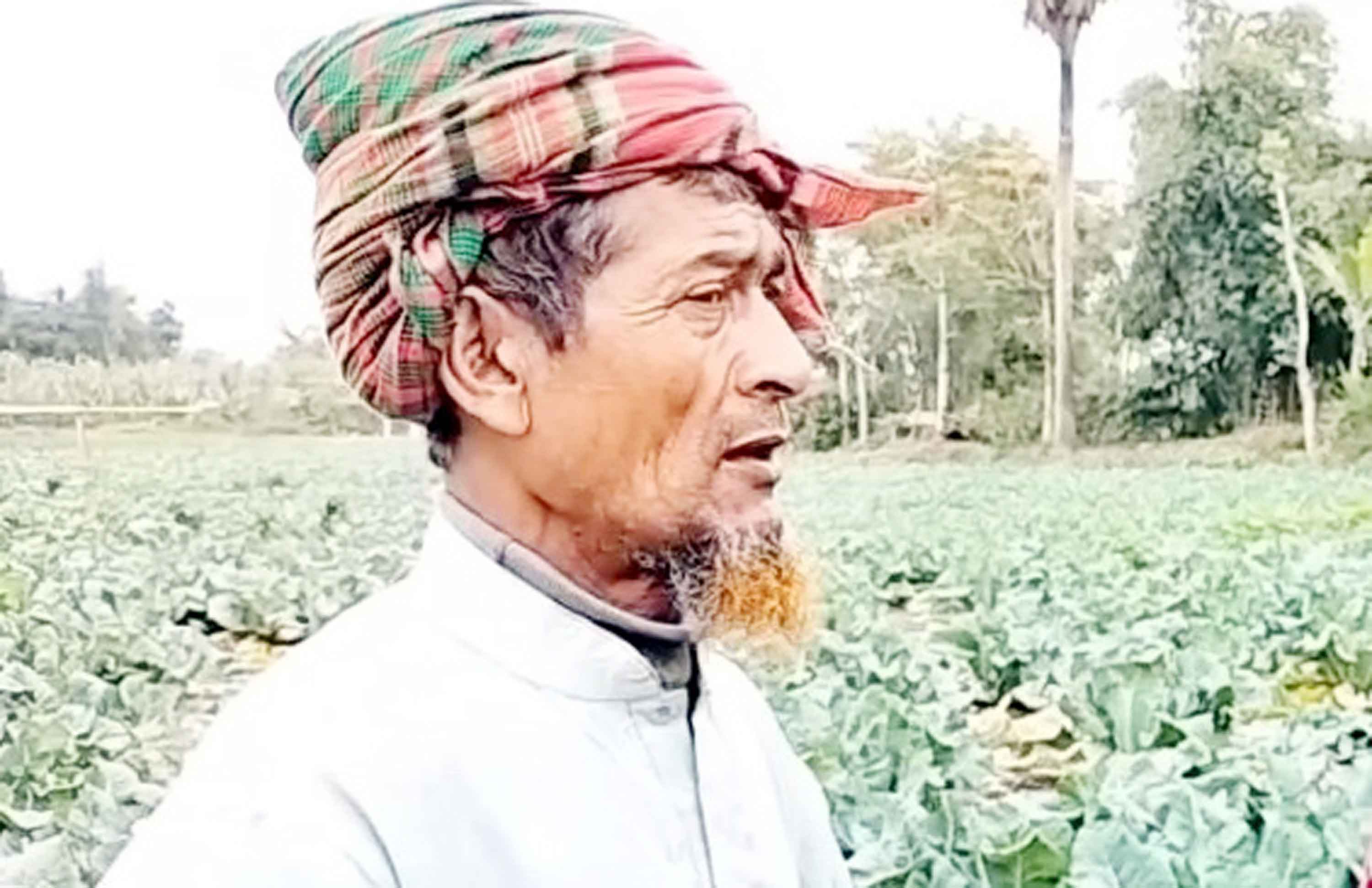 রাউজানে সবুজ সবজিতে ঢাকা কাশখালীর দুই পাড়