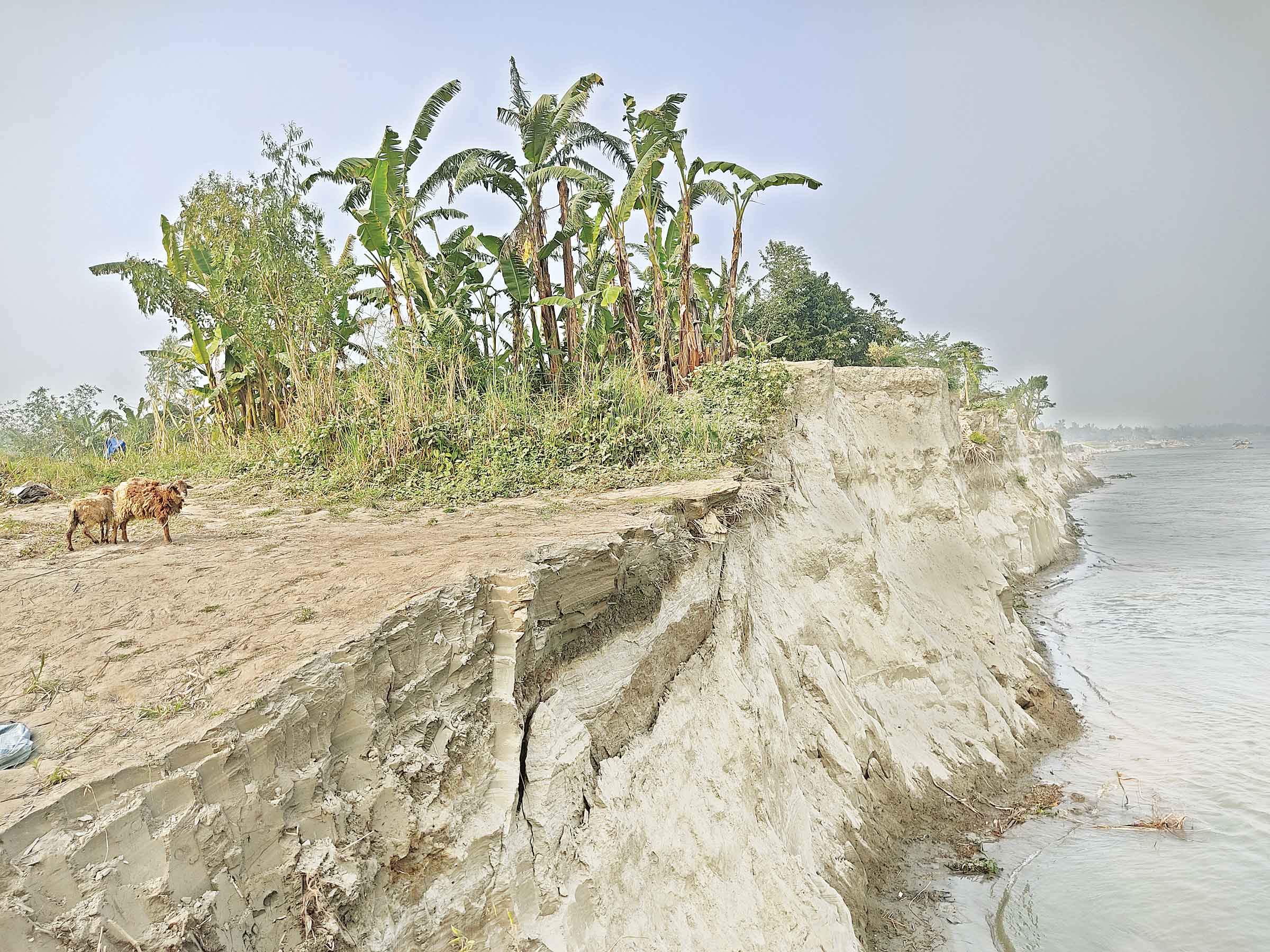 বেপরোয়া বাল্কহেড চলাচলে যমুনায় অসময়ের ভাঙন