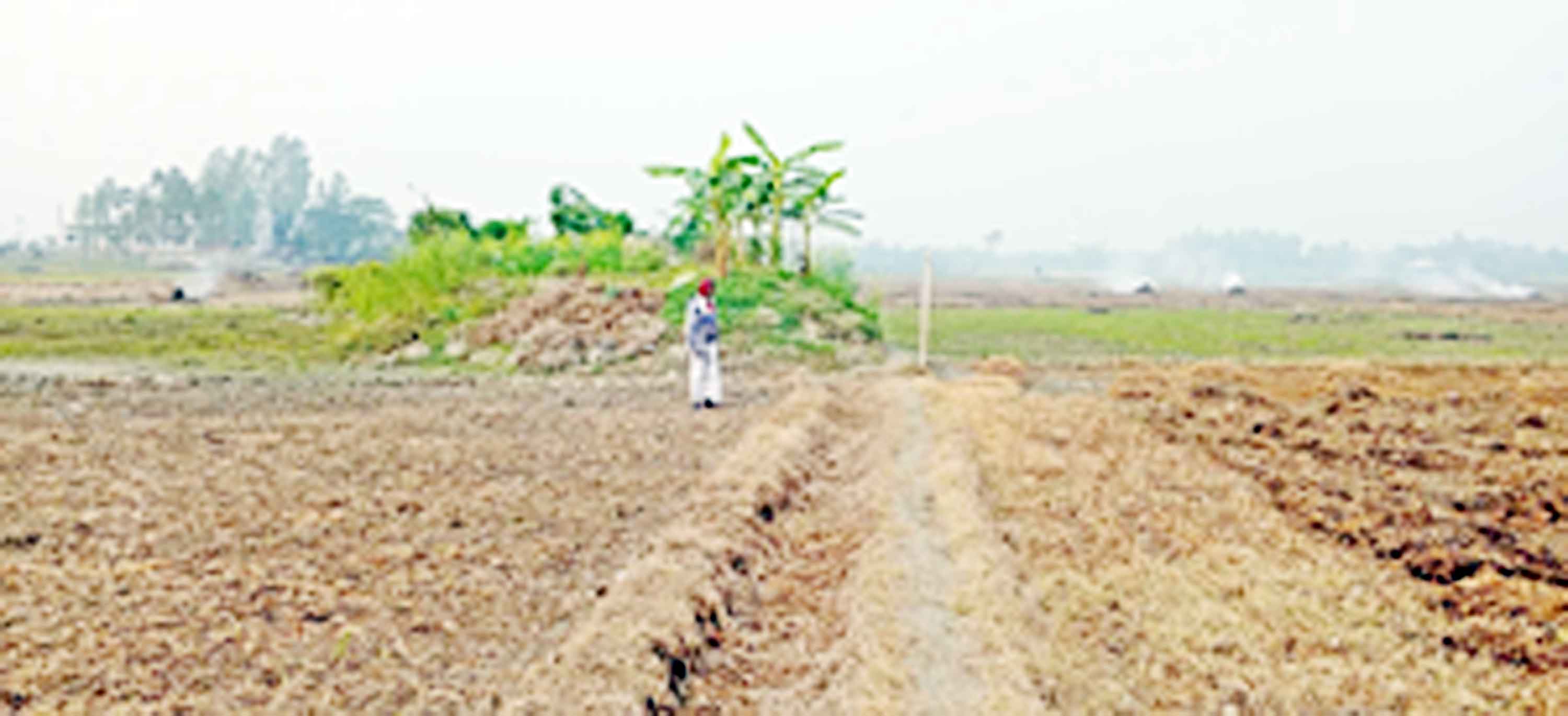 লৌহজংয়ে শতবিঘা জমির আবাদ নিয়ে বিপাকে কৃষক
