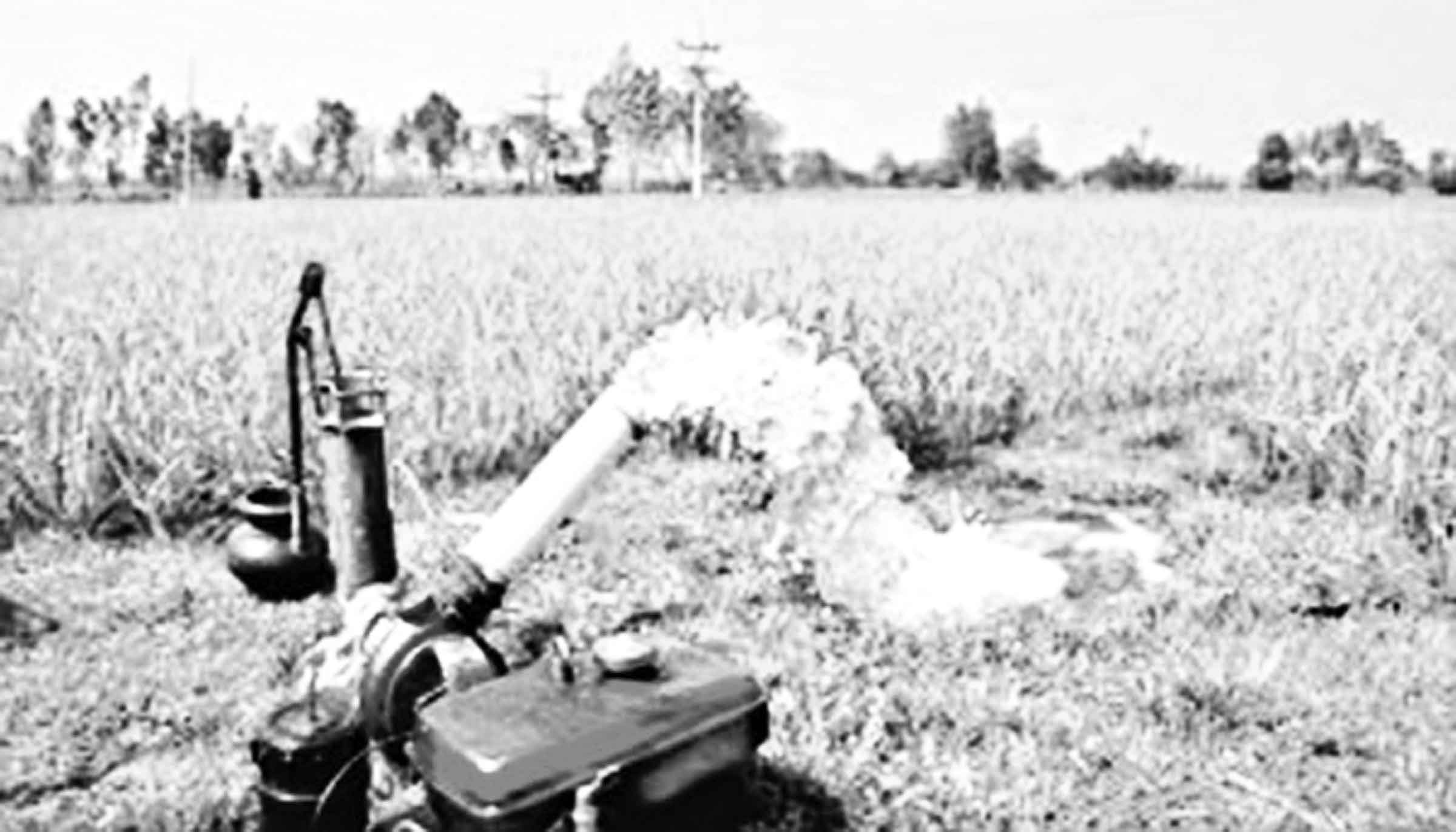 পানি সংকট হতে পারে খাদ্য নিরাপত্তার জন্য বড় হুমকি