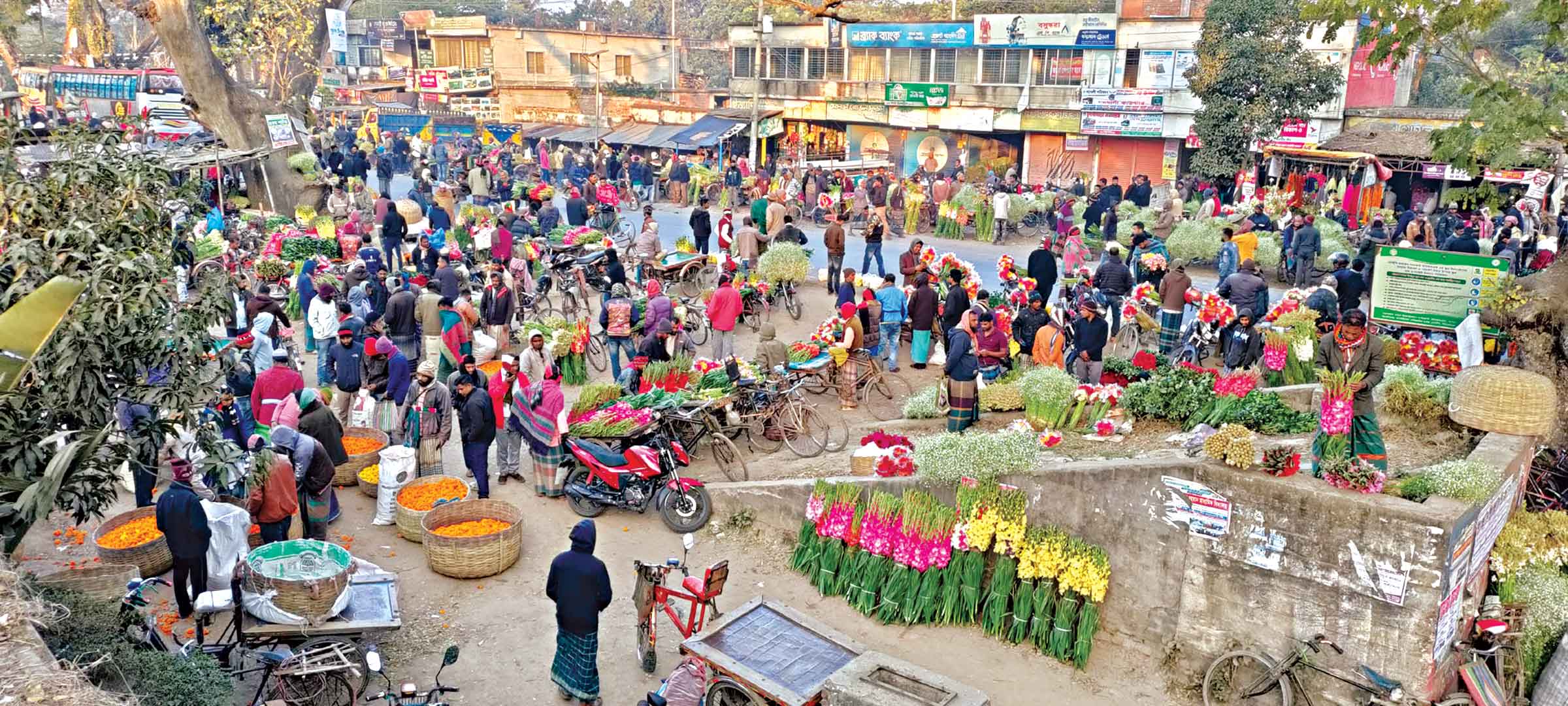 বিভিন্ন দিবস ঘিরে জমজমাট যশোরের গদখালী ফুলবাজার