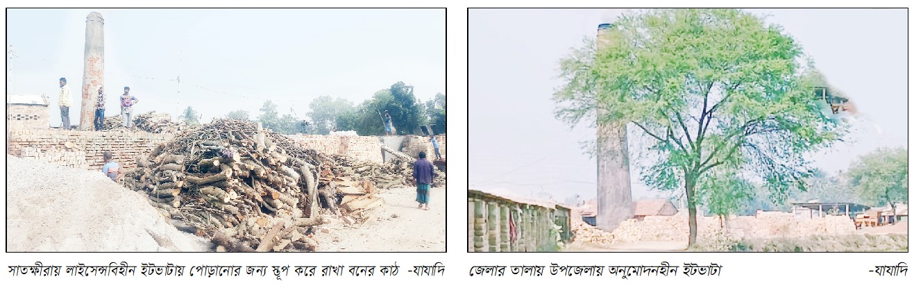 সাতক্ষীরায় ৯৬ ইটভাটায় পুড়ছে কাঠ, উজাড় হচ্ছে বন