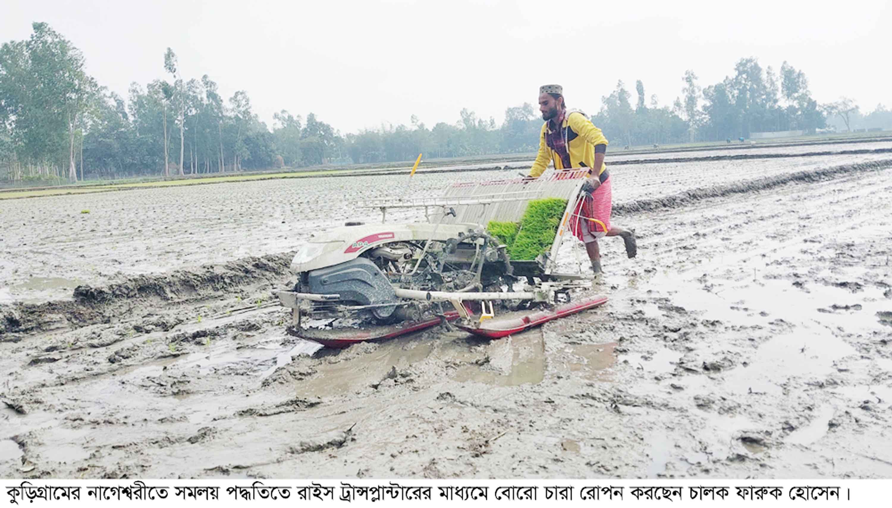 নাগেশ্বরীতে জনপ্রিয় হচ্ছে সমলয় পদ্ধতিতে চাষাবাদ