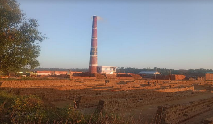 ইট ভাটায় পুড়ছে কাঠ, ঝুঁকিতে পরিবেশ