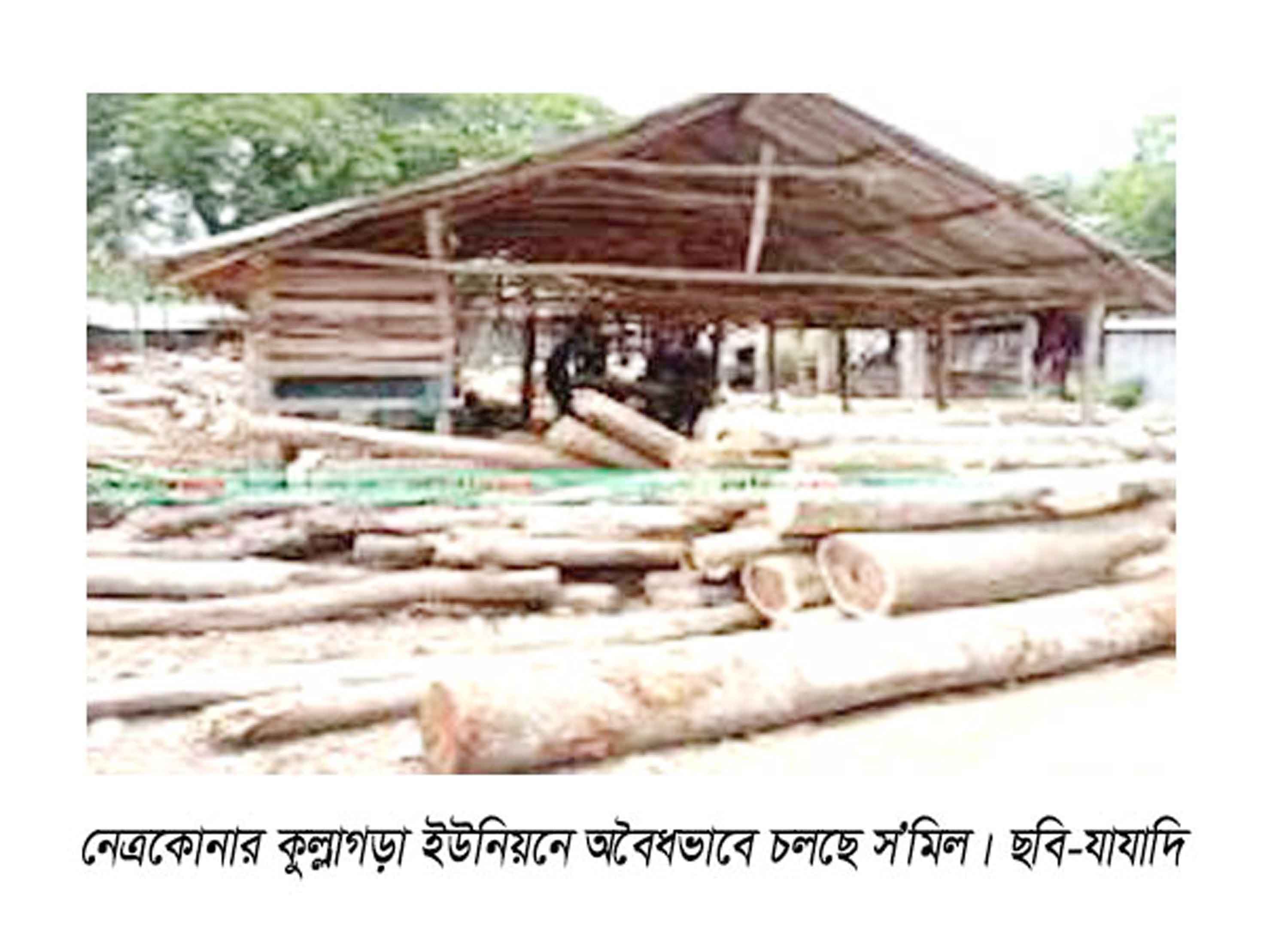 নেত্রকোনায় অবৈধ স'মিল ৩২৭টি