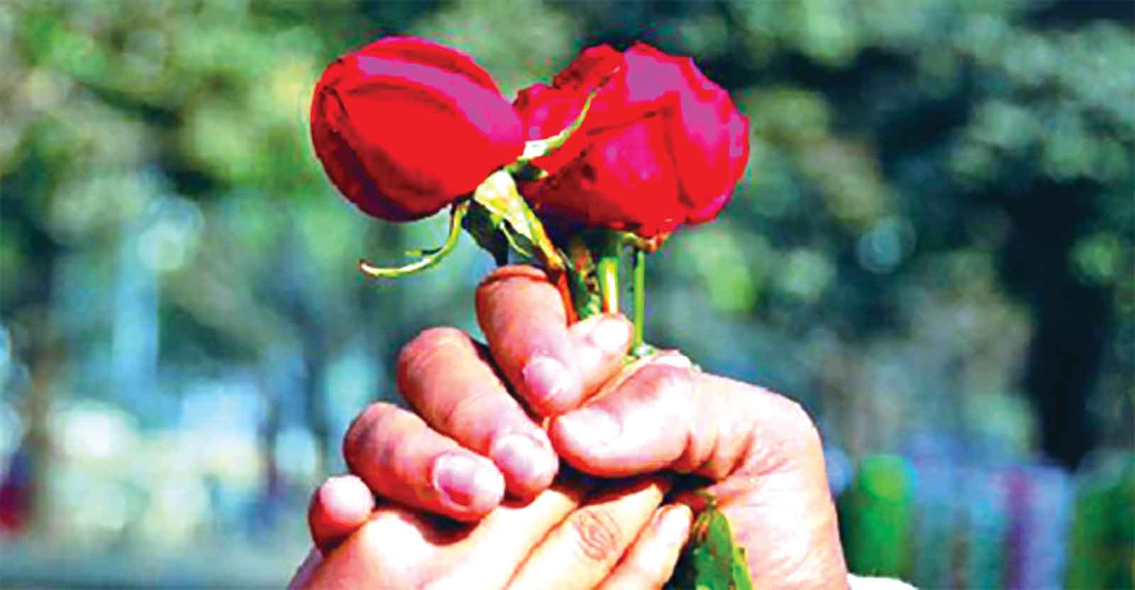 ফুলের চাহিদা তুঙ্গে, কোটি কোটি টাকার বাণিজ্য