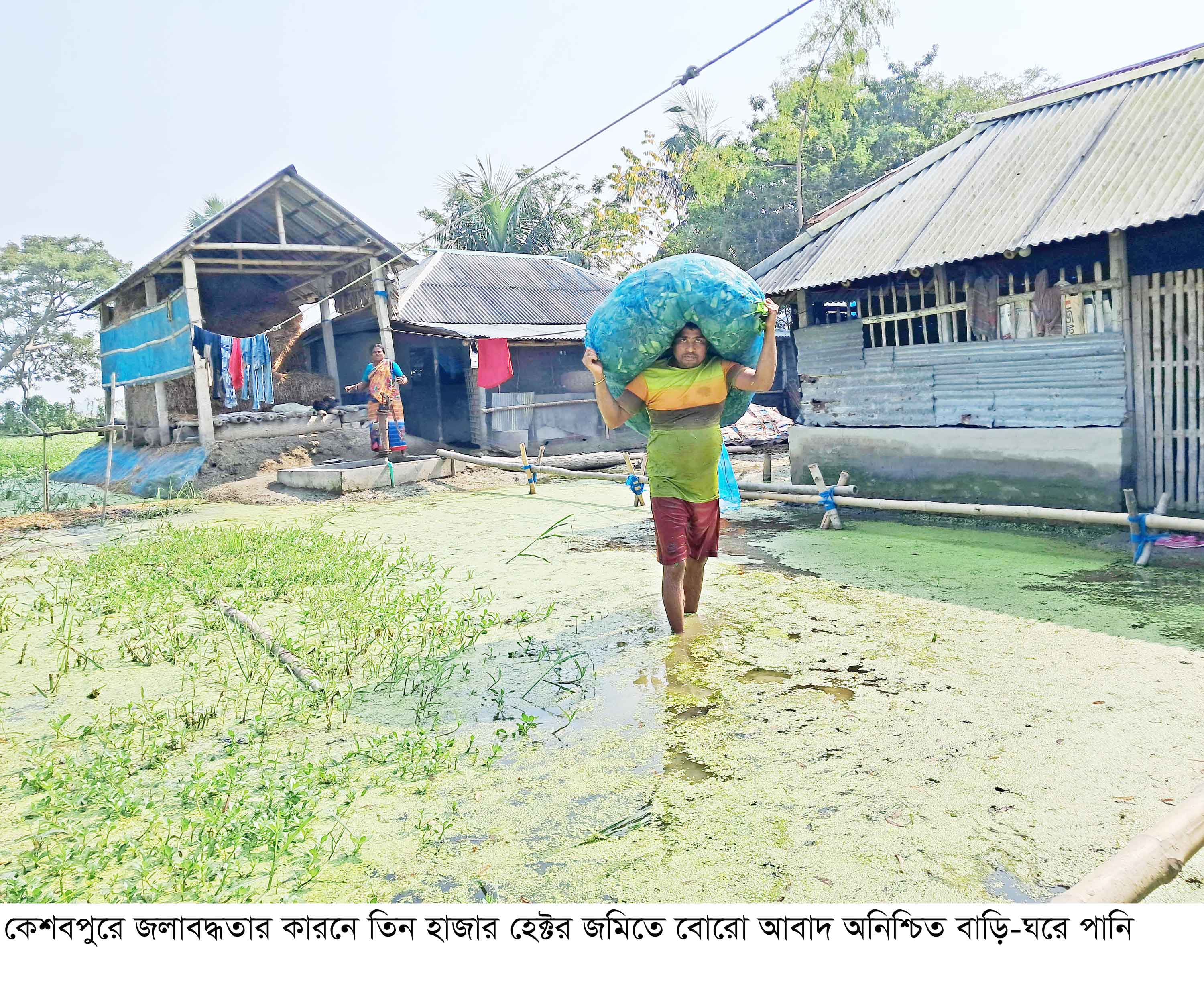 কেশবপুরে জলাবদ্ধতার কারণে তিন হাজার হেক্টর জমির আবাদ অনিশ্চিত
