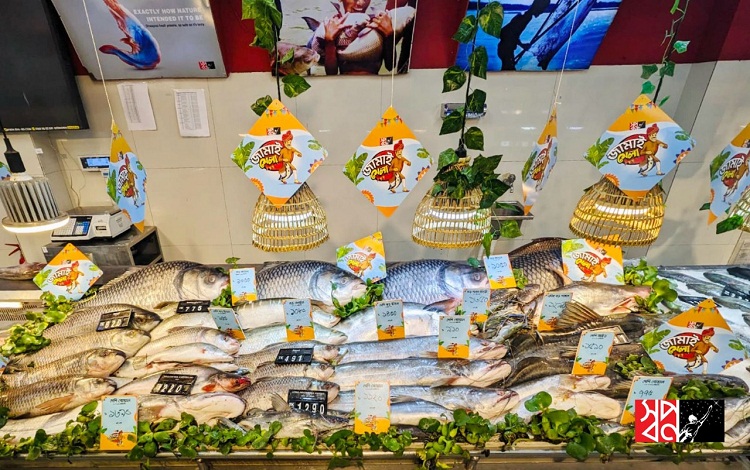 স্বপ্নতে শুরু হয়েছে ঐতিহ্যবাহী জামাই মেলা