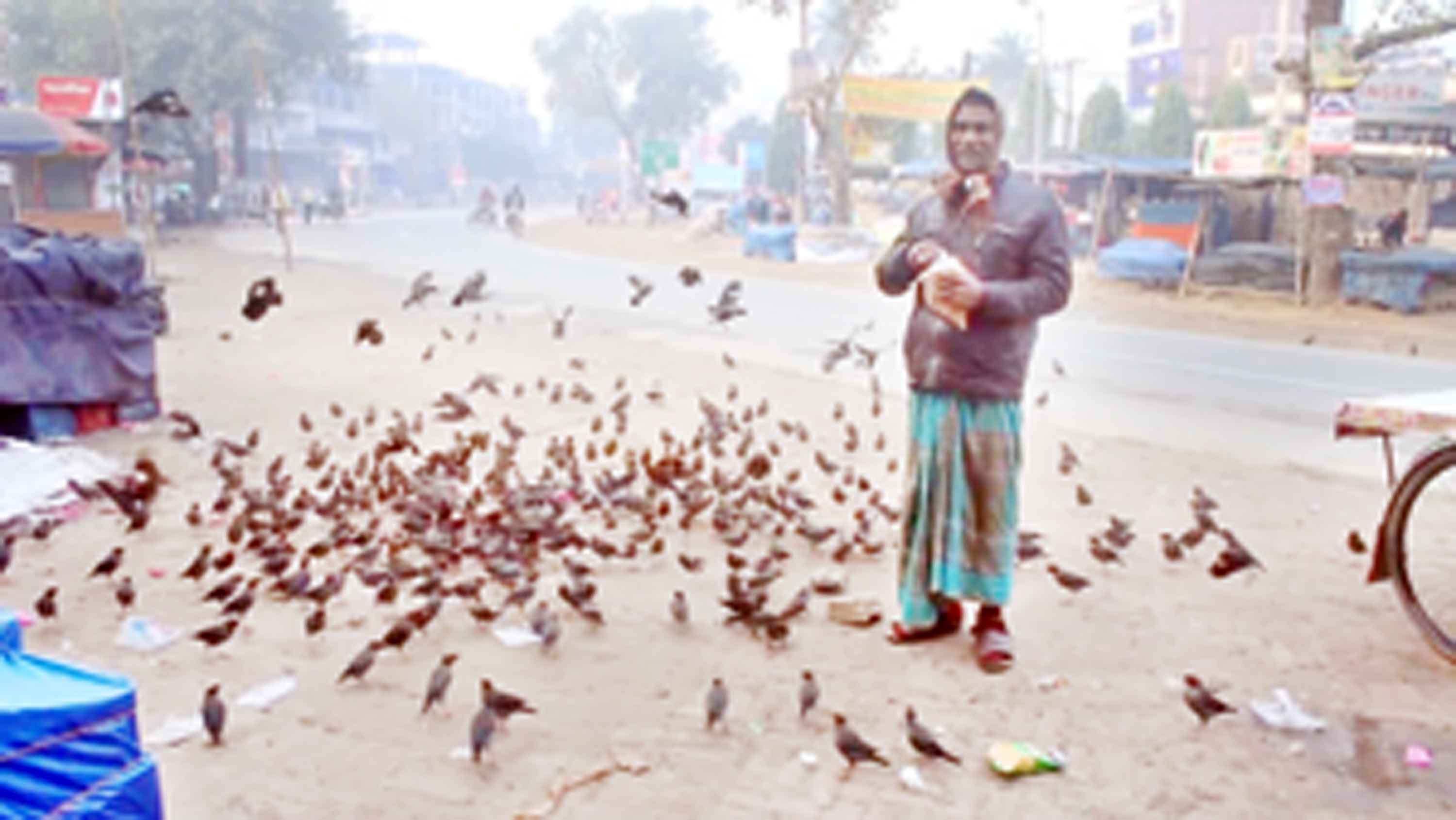 পাখির সঙ্গে মানুষের মিতালি