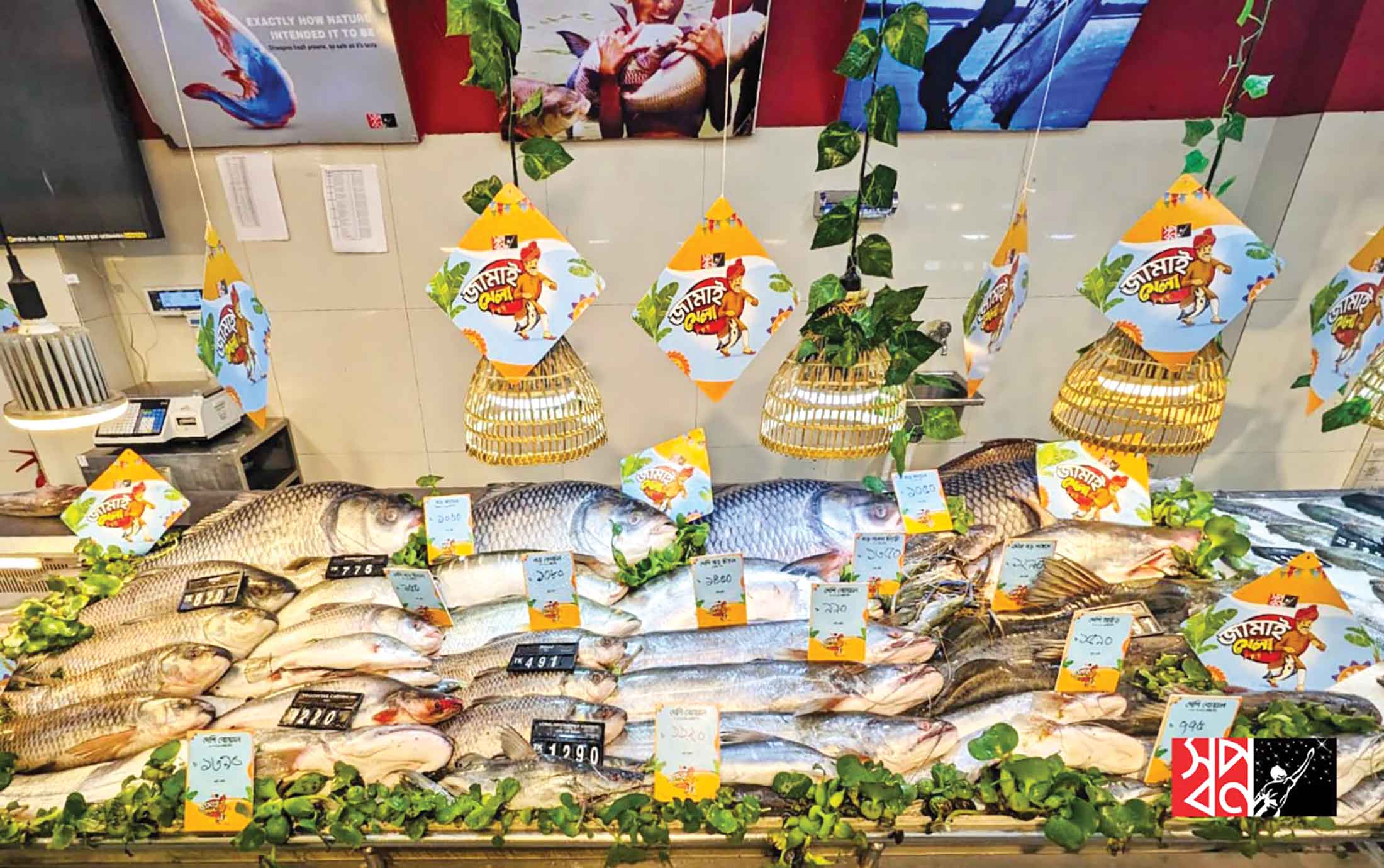 স্বপ্ন'তে শুরু হয়েছে ঐতিহ্যবাহী জামাই মেলা!