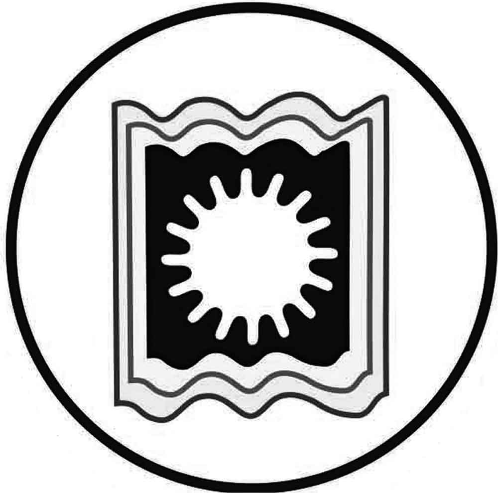 রাবি সায়েন্স ক্লাবের ৪ দিনব্যাপী বইমেলা