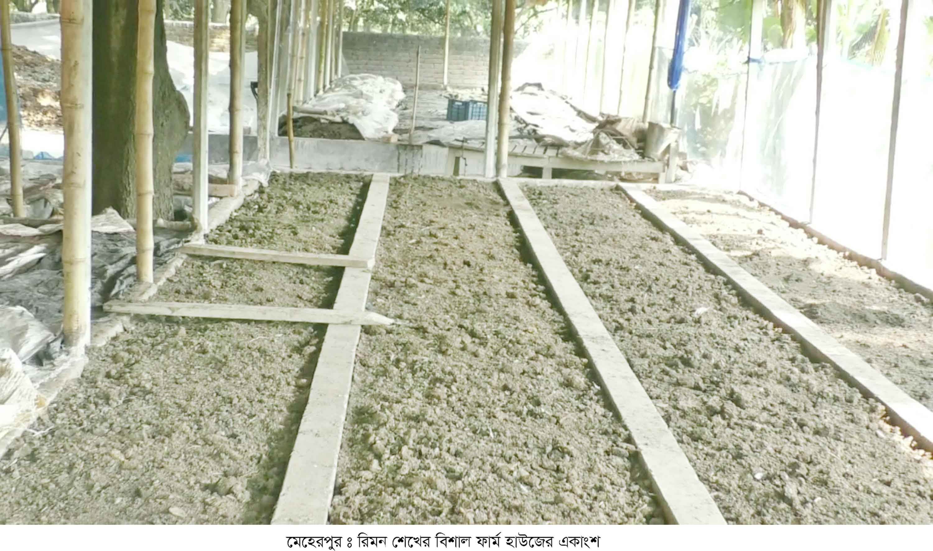 ভার্মি কম্পোস্ট সারে শিক্ষার্থীর কর্মসংস্থান