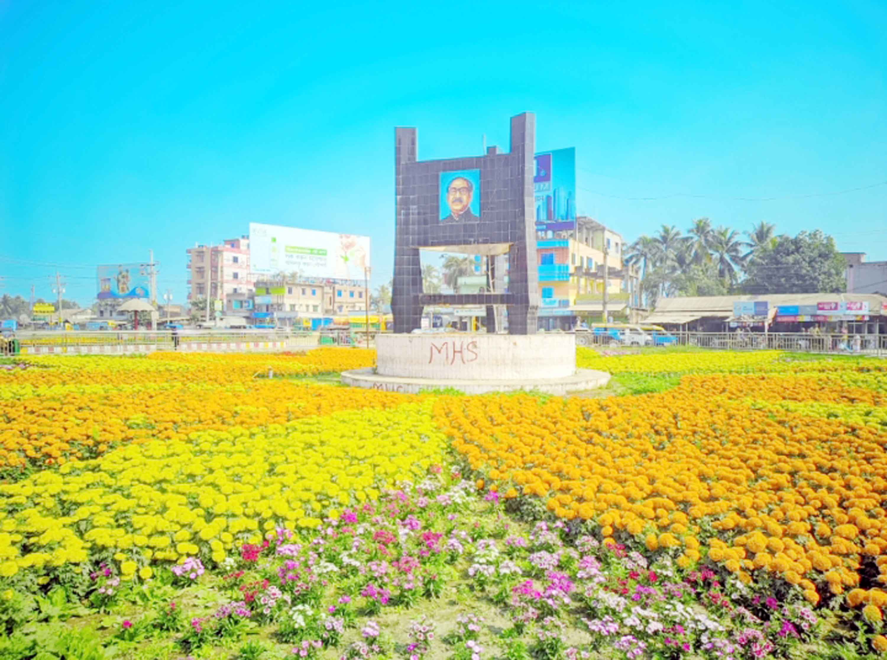 মুগ্ধতা ছড়াচ্ছে দাশুড়িয়া গোল চত্বরের ফুল বাগান