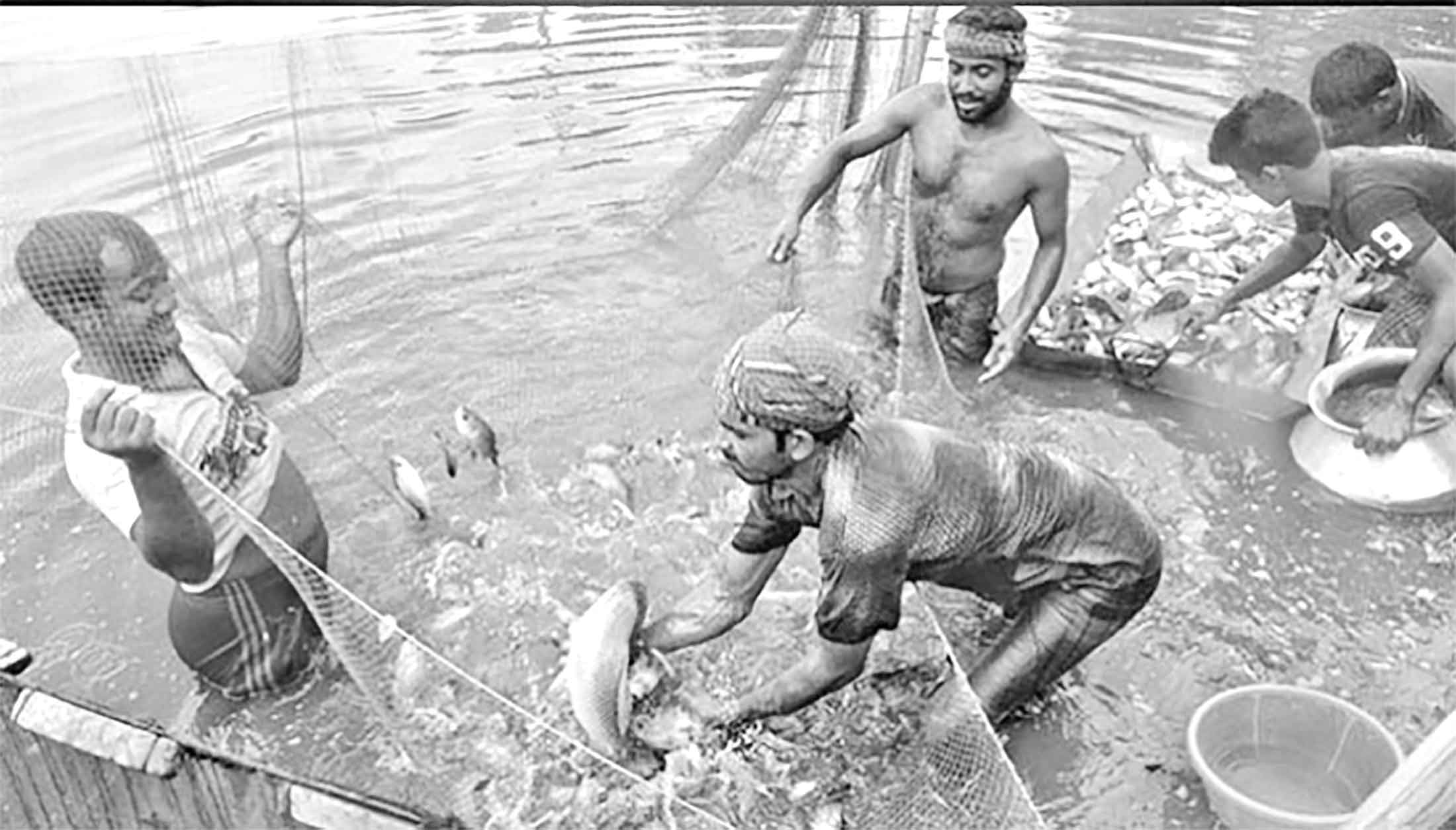 মাছচাষিরা গুচ্ছ পদ্ধতিতে প্রথম ঋণ পেলেন