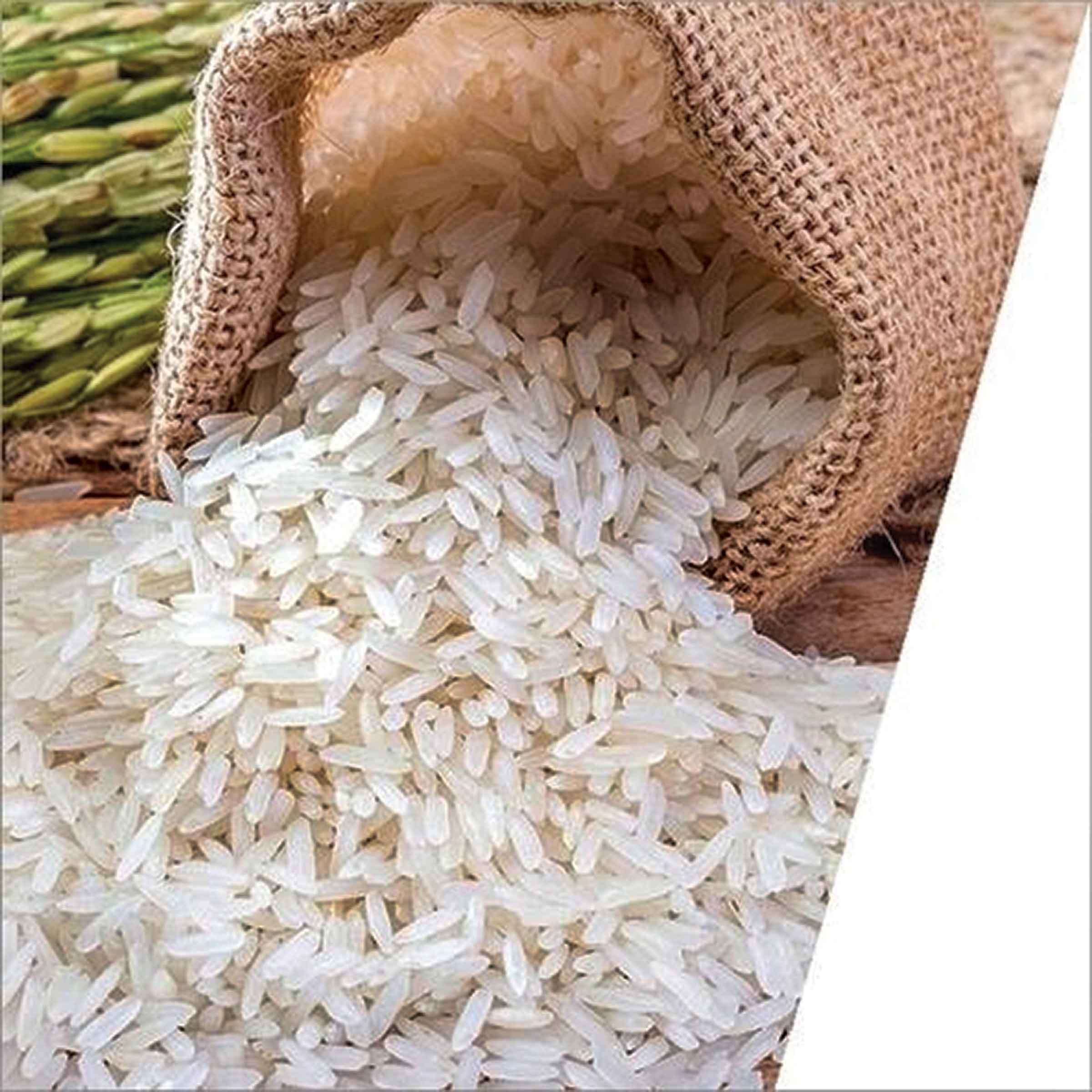 চাল রপ্তানিতে শুল্ক আরোপের মেয়াদ বাড়াল ভারত