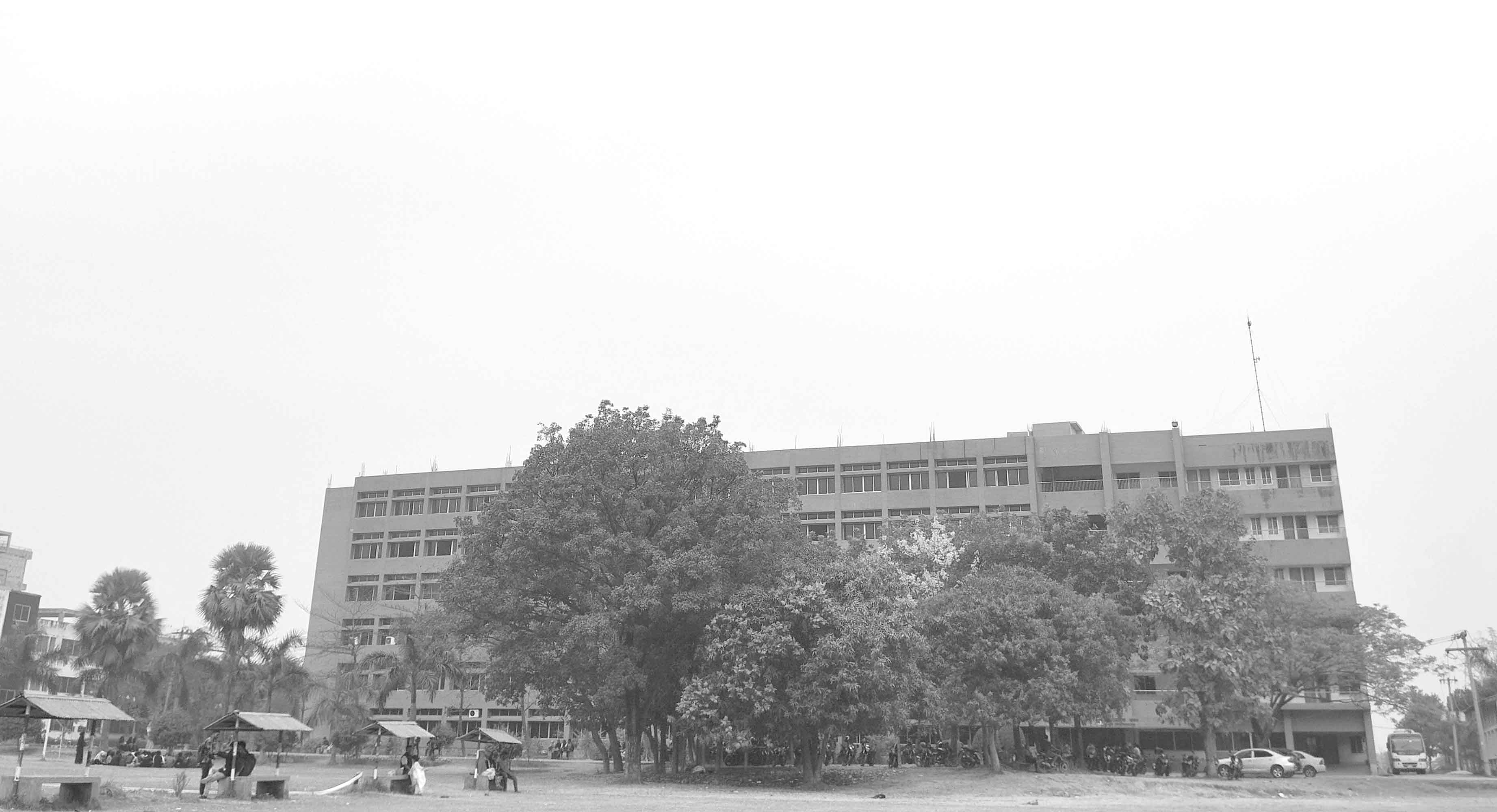 বইছে স্নিগ্ধ হাওয়া, বসন্তের ছোঁয়া