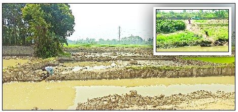 ফটিকছড়িতে রাত হলেই শুরু হয় জমির উর্বর মাটি ও হালদার পাড় কাটা উৎসব