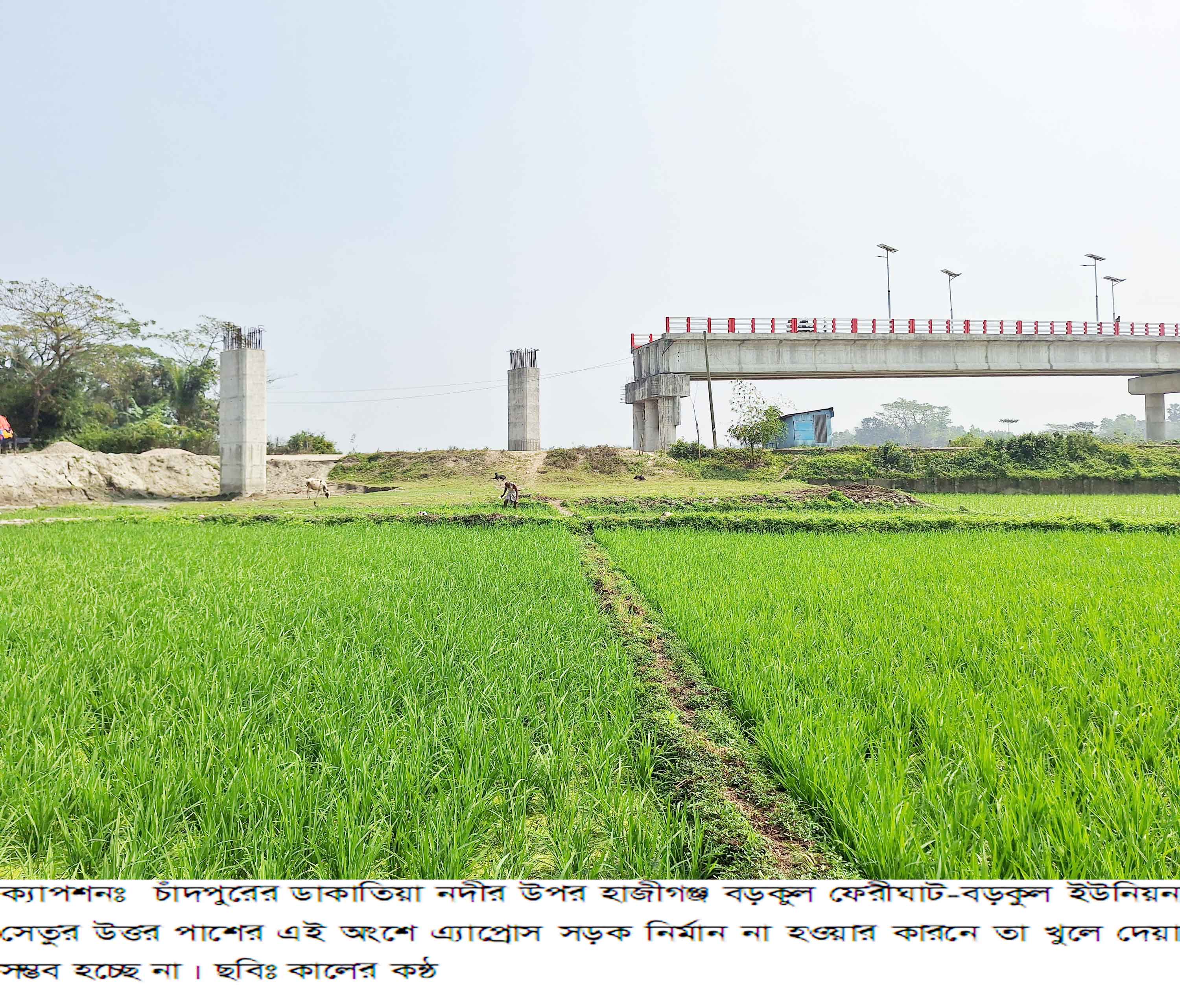 চাঁদপুরে সাত বছরেও শেষ হয়নি ৪৪ কোটি টাকার সেতুর কাজ
