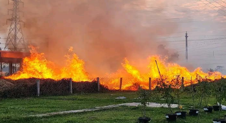 বাকৃবির খামারে আগুন লাগার ঘটনায় তদন্ত কমিটি গঠন