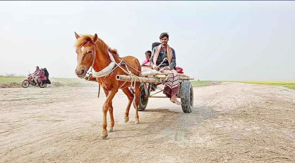 যমুনার বালু চরে একমাত্র বাহন ঘোড়ার গাড়ি