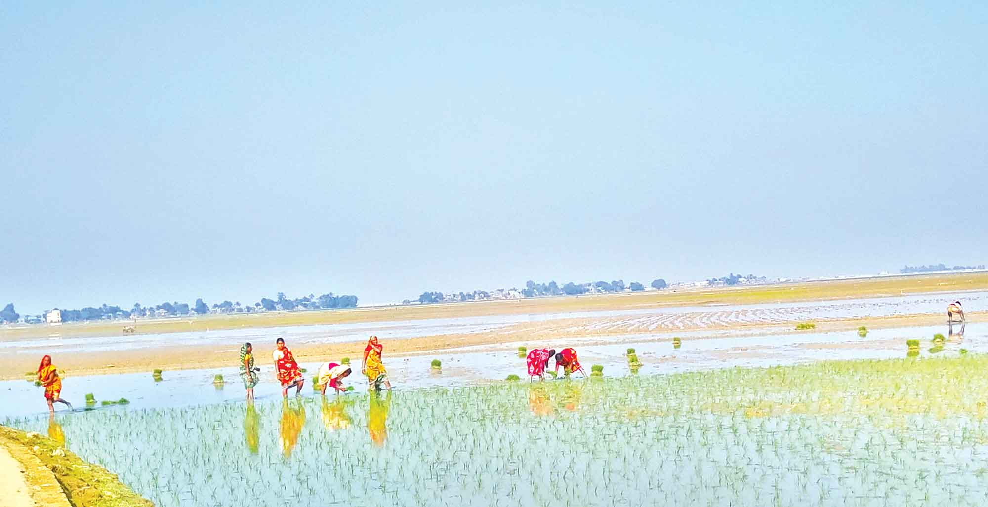 তারা কাজ করেন সমান, মজুরি পান পুরুষের চেয়ে কম!