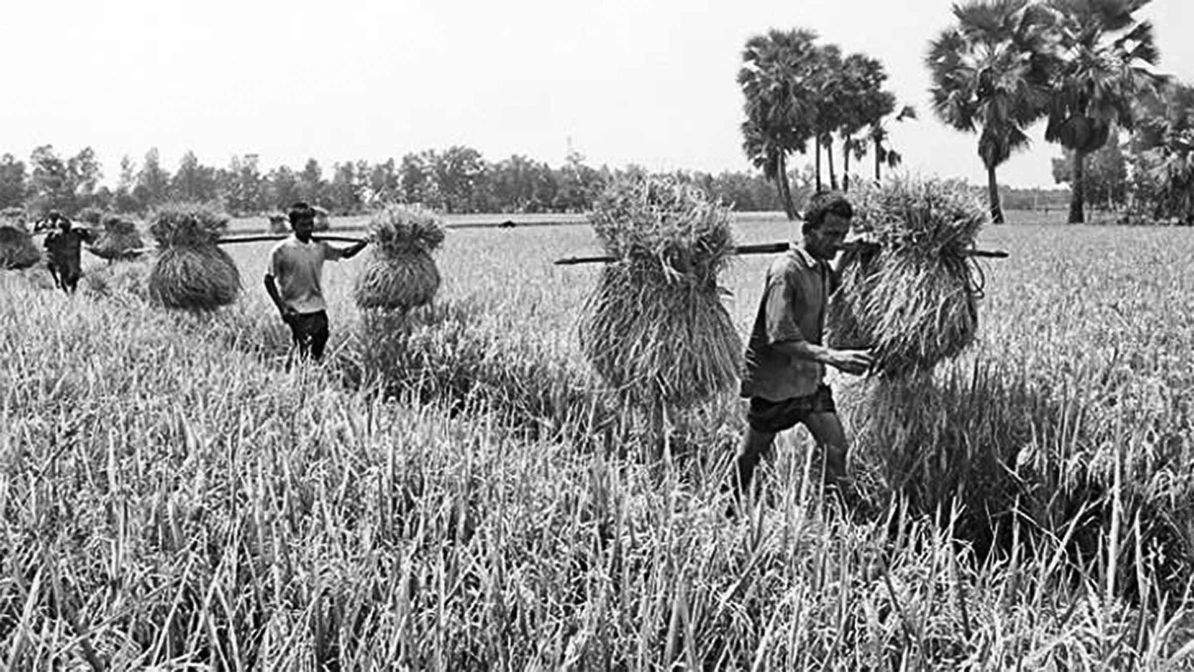 কৃষক বাঁচলে, বাঁচব আমরা