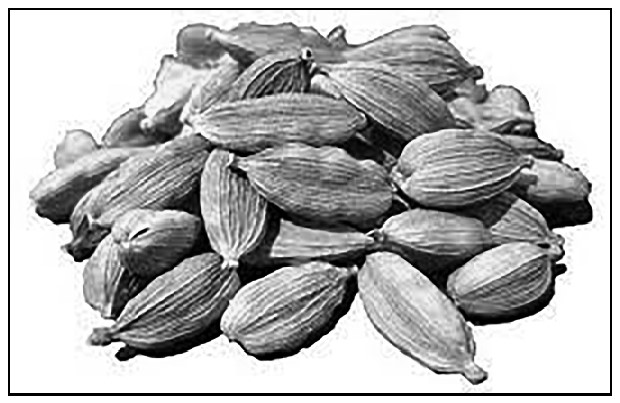 খাতুনগঞ্জে ১৪৫০ টাকার এলাচ ৩১শ' টাকায় বিক্রি