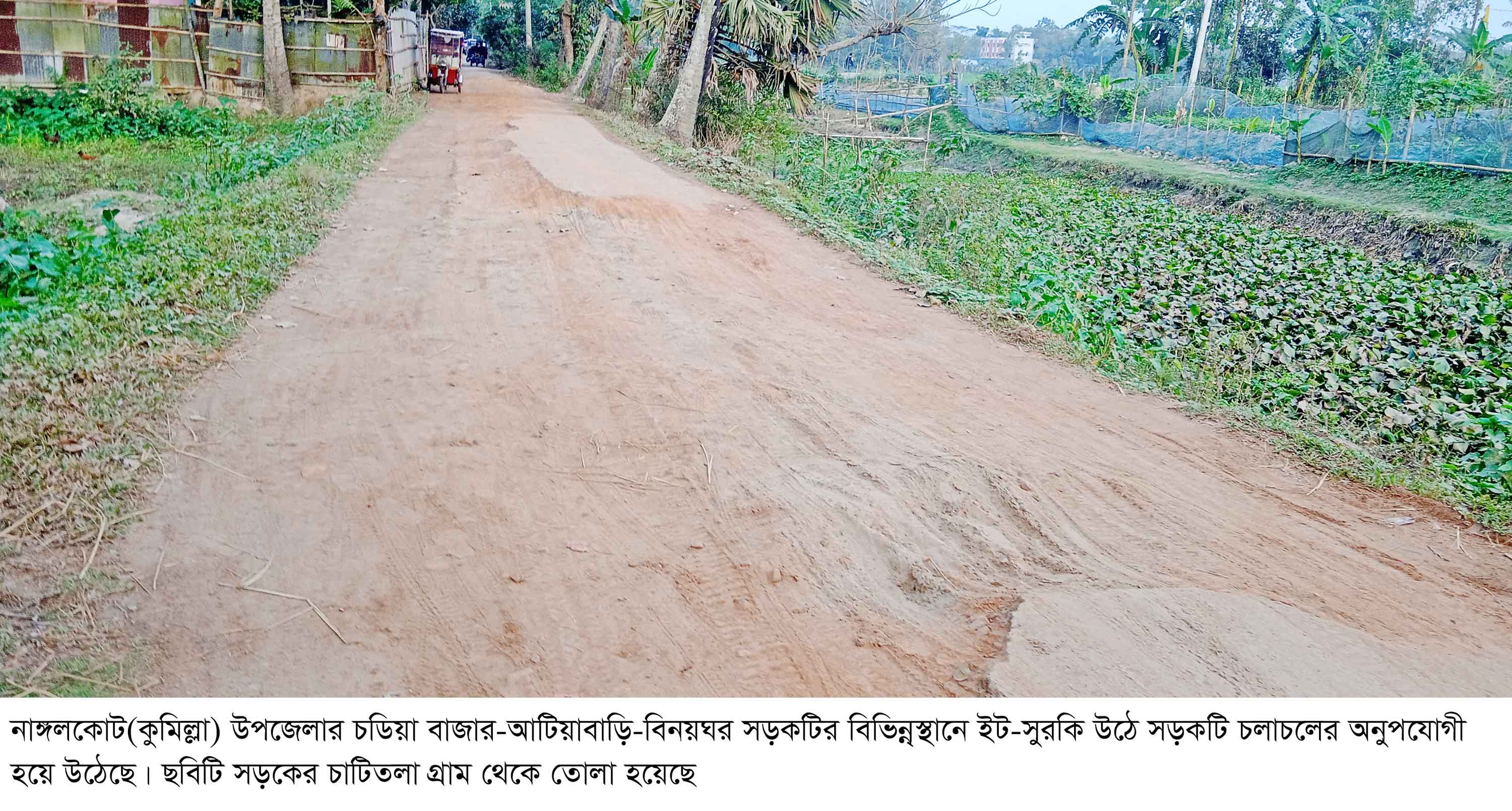 নাঙ্গলকোটের গুরুত্বপূর্ণ ৩৪টি সড়কের একশ' কি.মি. বেহাল, ভোগান্তি চরমে
