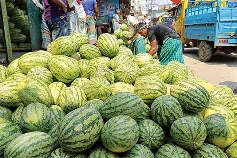 রোজা ঘিরে বাজারে অপরিপক্ব তরমুজ দাম চড়া
