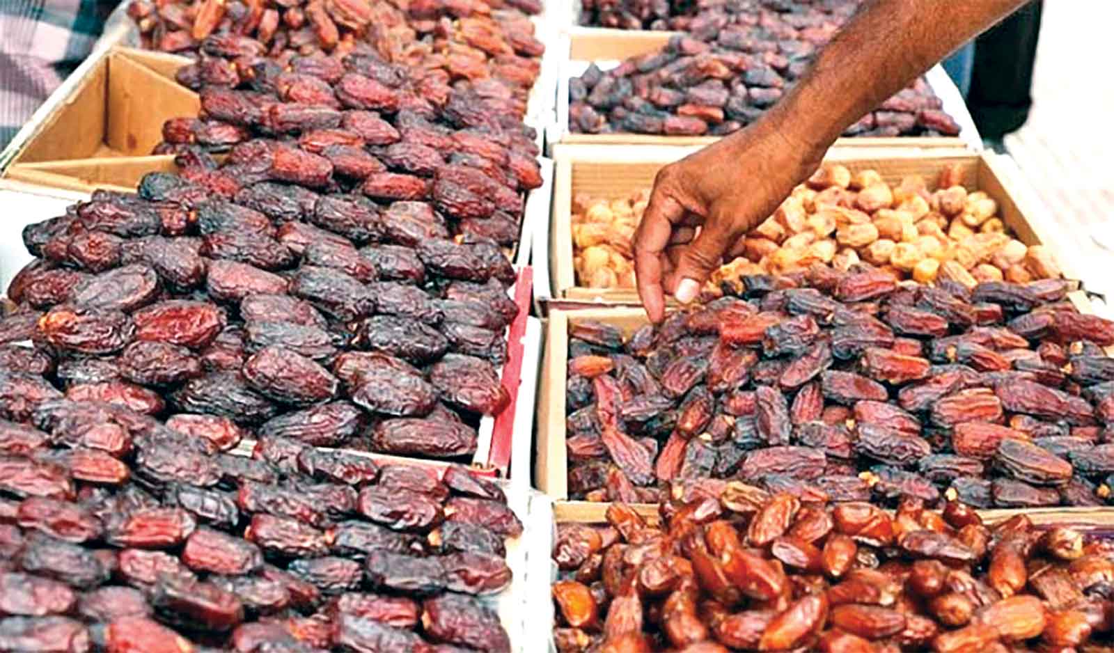 সরকারের বেঁধে দেওয়া দামে মিলছে না খেজুর
