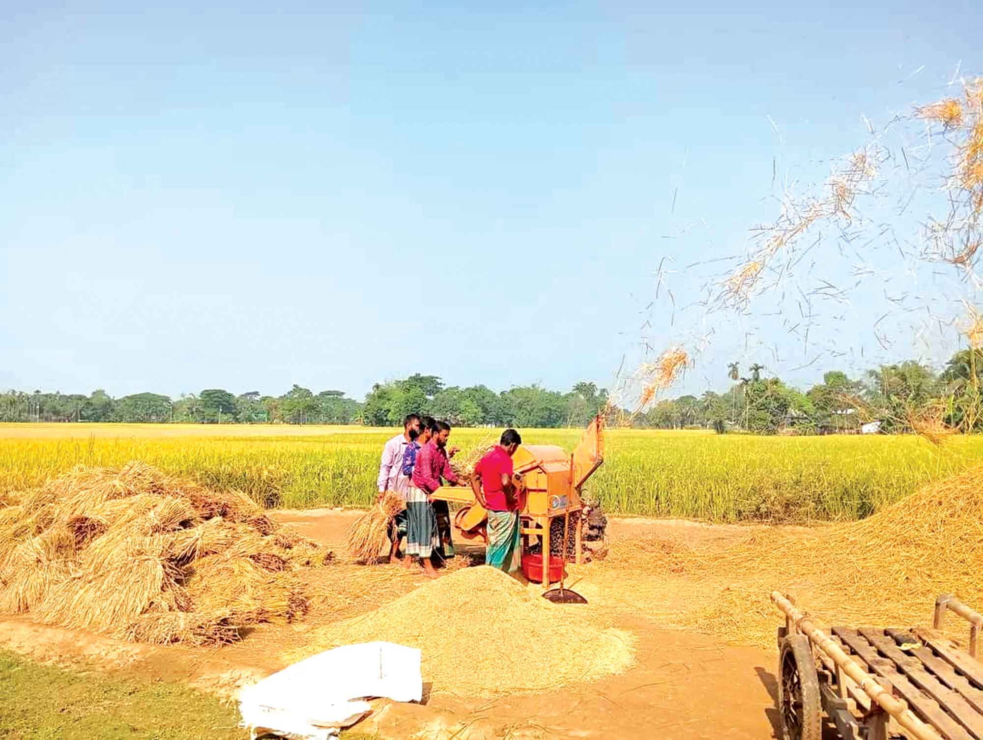 ফসলের ২০ থেকে ৩০ শতাংশ নষ্ট করে ক্ষতিকর কীটপতঙ্গ